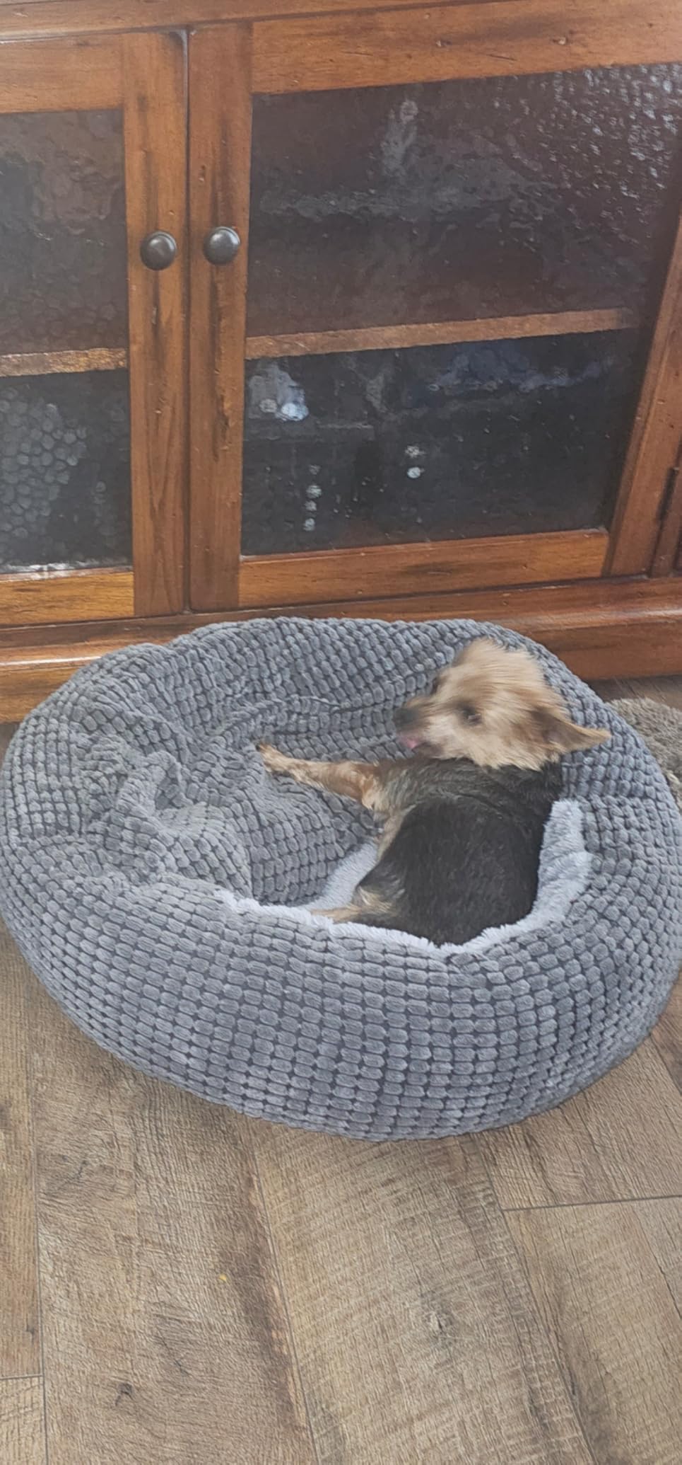 Small Dog Bed with Attached Blanket, Cozy Donut Cuddler Anti-Anxiety Hooded Pet Beds Calming Cave Bed. Orthopedic Round Puppy Beds for Dogs or Cats Washable, Anti-Slip Bottom, 23inch customer photo 2
