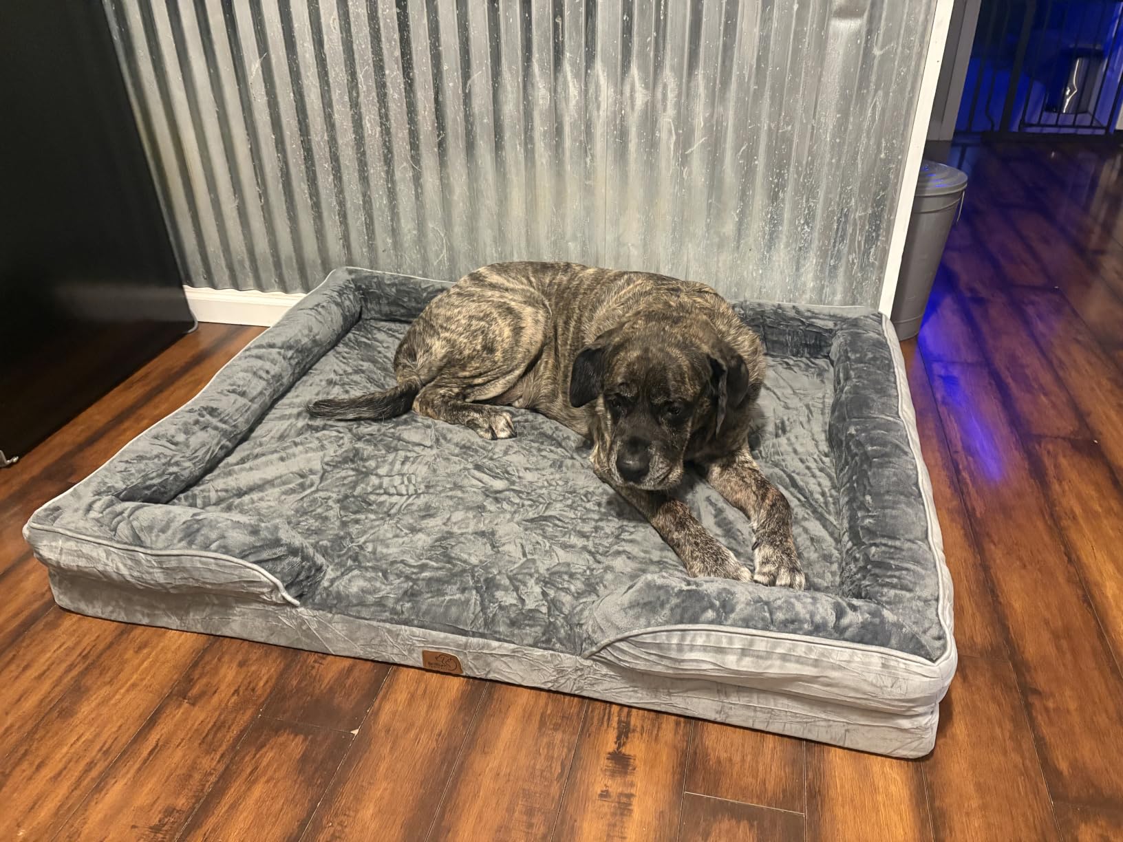 Bedsure Orthopedic XXL Dog Bed Extra Large with Removable Washable Cover customer photo 1
