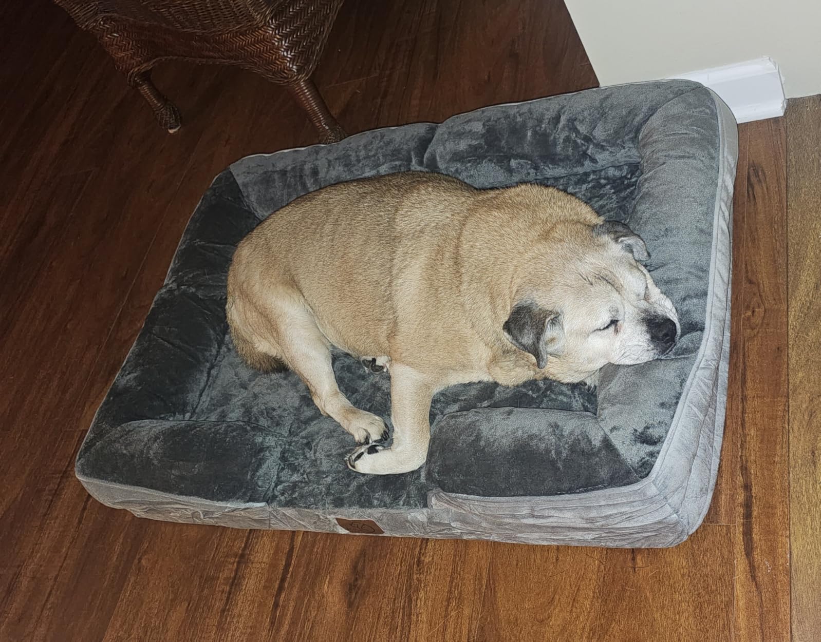 Bedsure Orthopedic XXL Dog Bed Extra Large with Removable Washable Cover customer photo 2