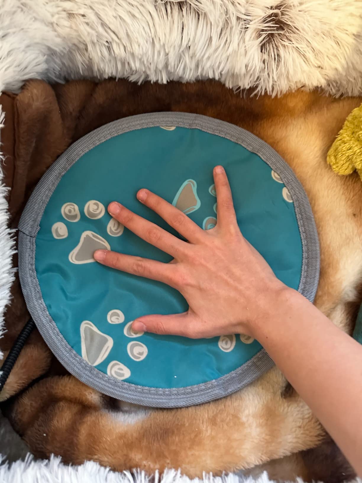 furrybaby Pet Heating Pad for Cats & Dogs, Waterproof, Anti-Bite Warming Mat, Adjustable Temperature, Tough Anti-Bite Tube, Ideal for Cat House & Cat Bed customer photo 2