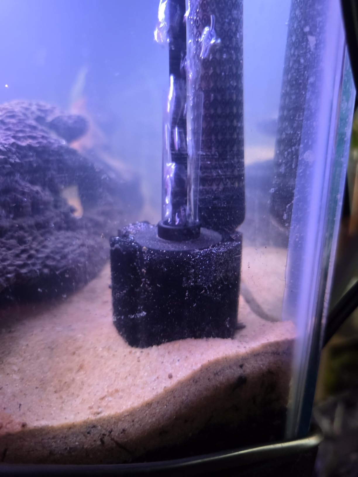 Pawfly 3 Pack Aquarium Sponge Filter Quiet Betta Fry Shrimp and Small Fish Foam Filter for Tiny Fish Tank up to 10 Gallon customer photo 2