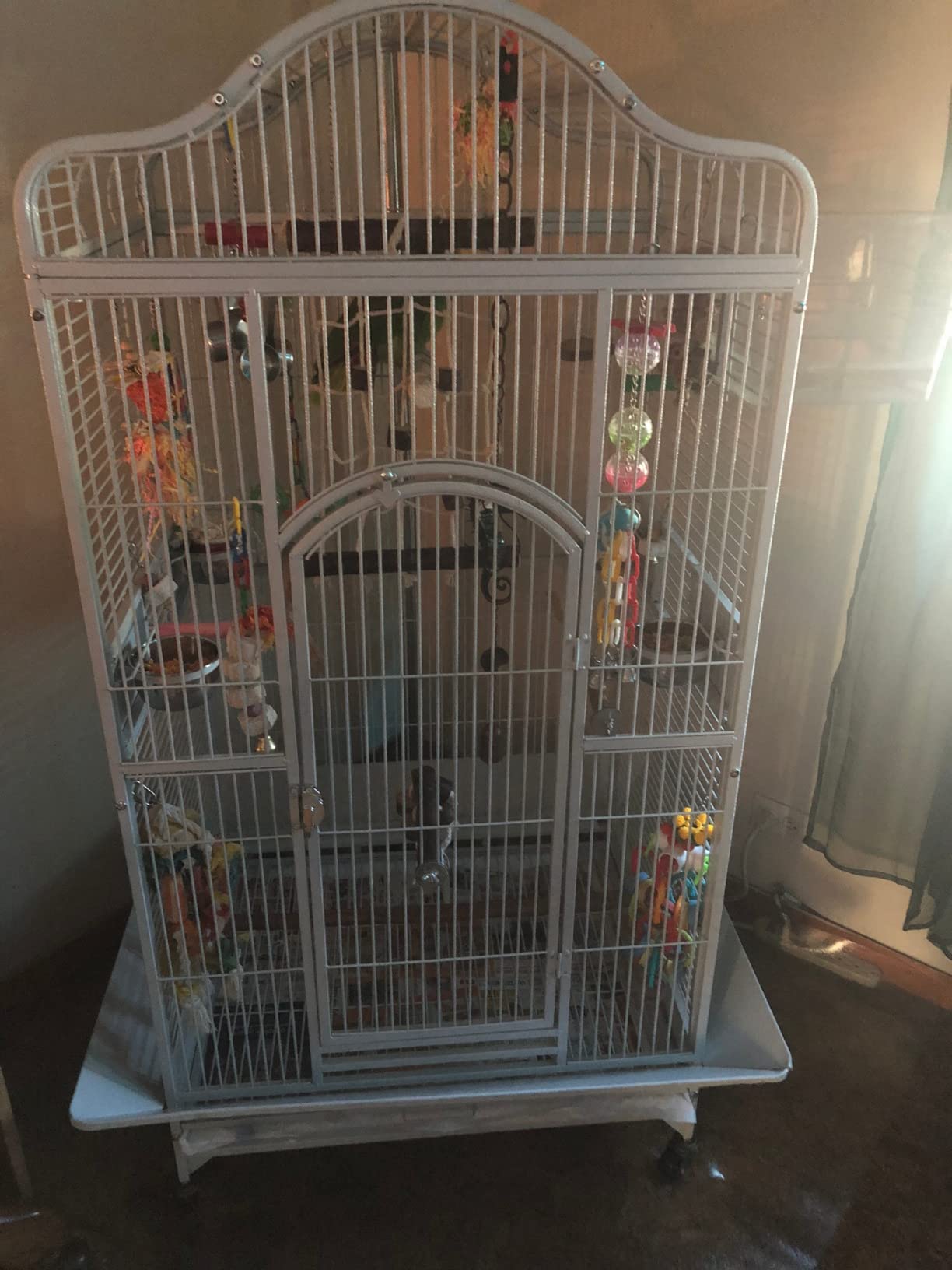 2 Color, Extra Large Wrought Iron Dome Top for Macaw Goffin's Cockatoo Cockatiels African Grey Amazon Parrots Green Cheek Conures Caique Bird Cage with Rolling Stand (Black-Vein) customer photo 1