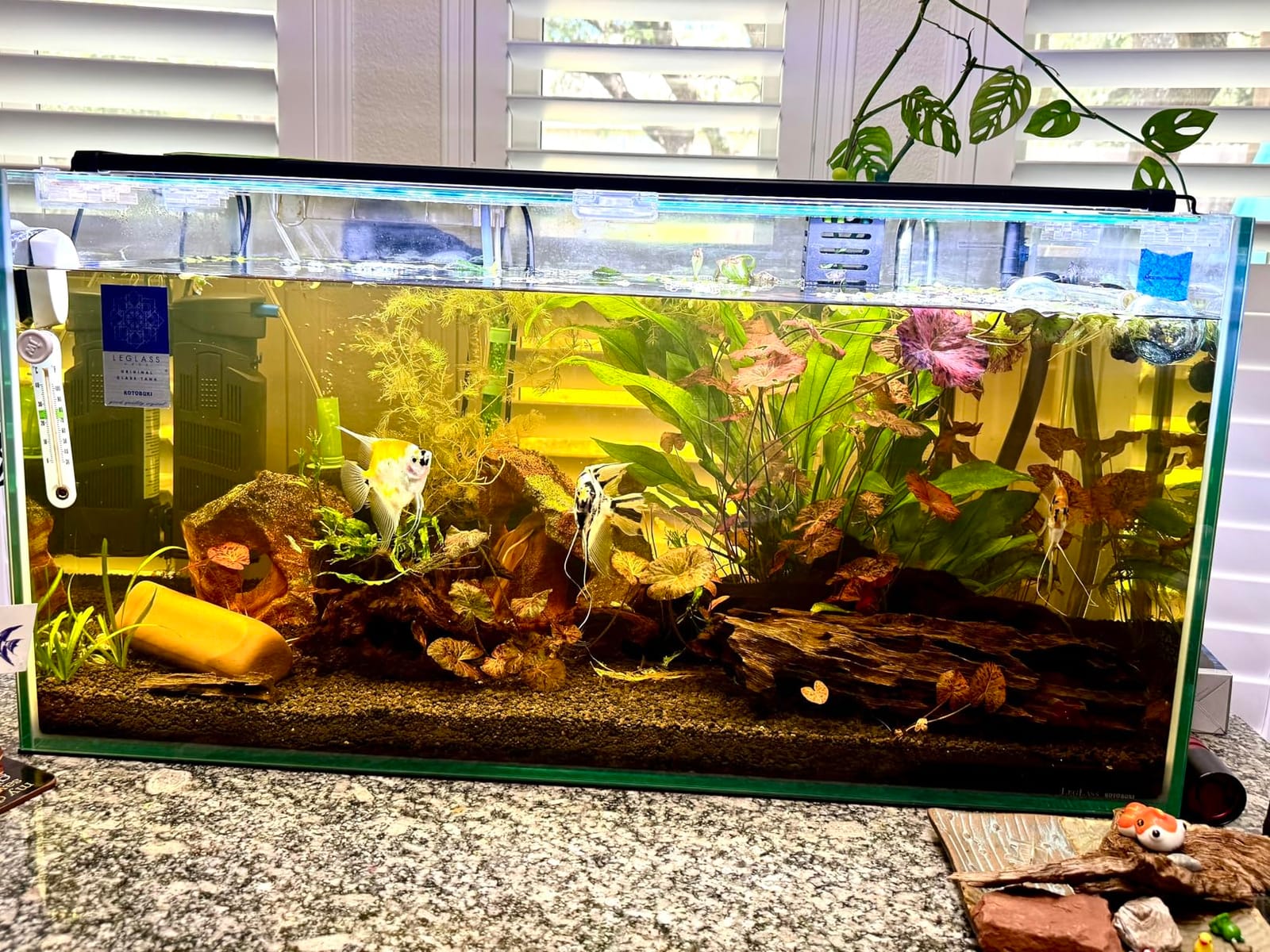 hygger Auto On Off LED Aquarium Light, Full Spectrum Fish Tank Light with LCD Monitor, 24/7 Lighting Cycle, 7 Colors, Adjustable Timer, IP68 Waterproof, 3 Modes for 12