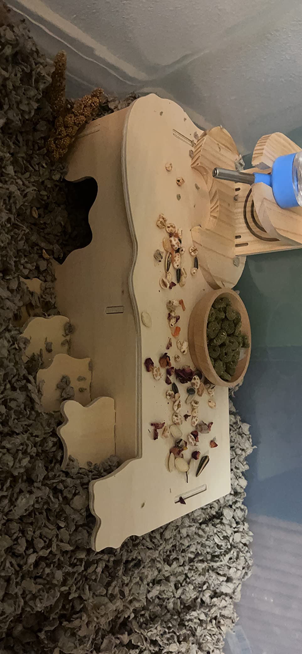 Hamster Wooden Houses with Steps, Hamster Hideout, Multi Chamber Room for Hamster Syrian Mice Gerbils Mouse Dwarf customer photo 2