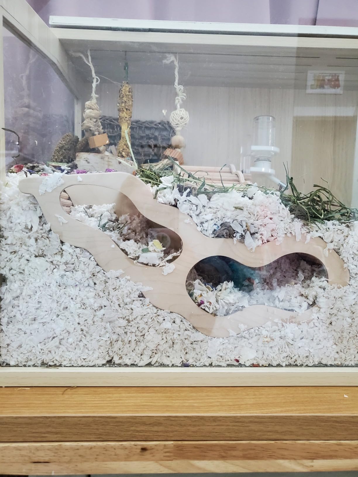 Niteangel Hamster House w/Climbing Ladder for Hamsters Gerbils Mice or Similar-Sized Pets (Trapezium-Shaped Hamster Hut) customer photo 2