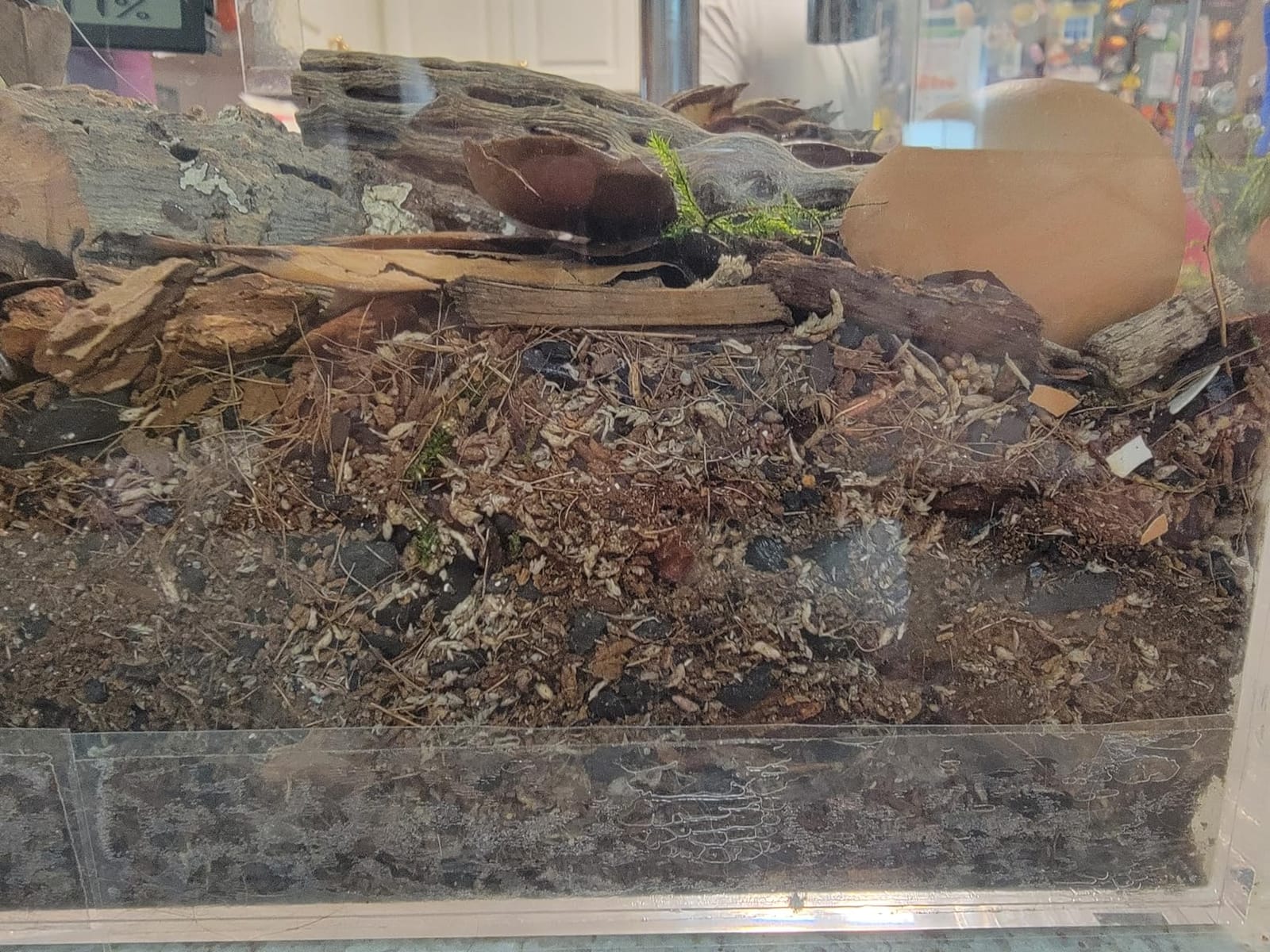 Galapagos Bioactive Soil, 8 Quart customer photo 2