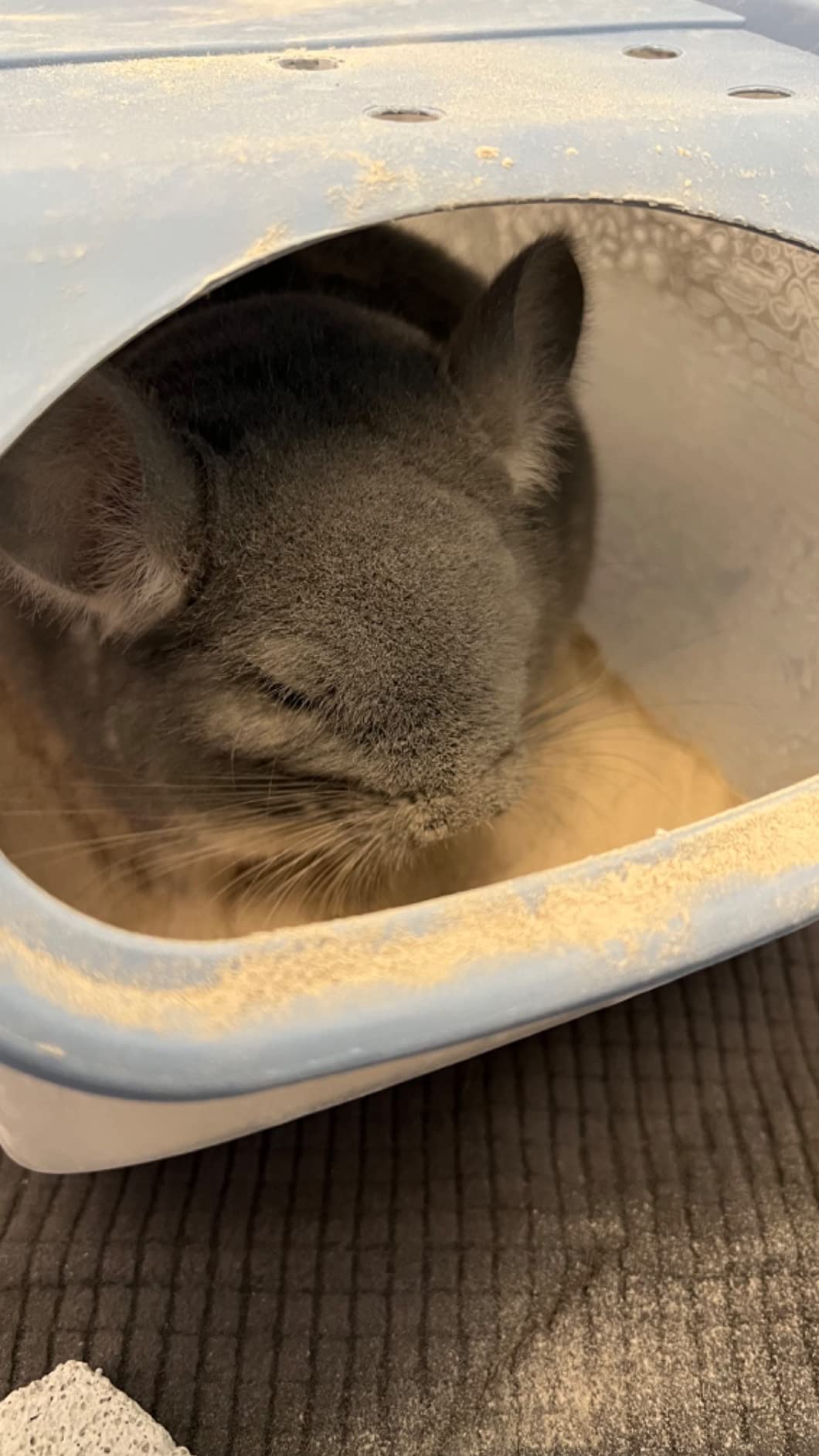 PINVNBY Chinchilla Sand Bath Box Gerbil Bathroom Transparent Totoro Plastic Sand Bath House with Sand Cup Cage Accessories for Guinea Pig Hedgehog Squirrel and Other Small Animals customer photo 2