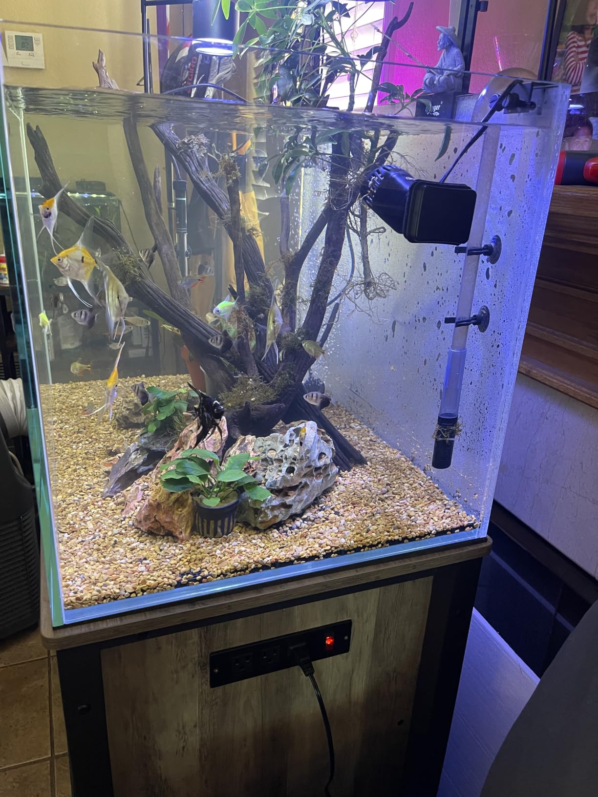 Aquarium Cube 2 Gallon Ultra Clear Glass Rimless Fish Tank 20C | 7.9x7.9x7.9in (20x20x20cm),5mm Low Iron Glass, leveling mat Included, Small Starter Aquascape Tank for Aquatic plant Betta customer photo 1