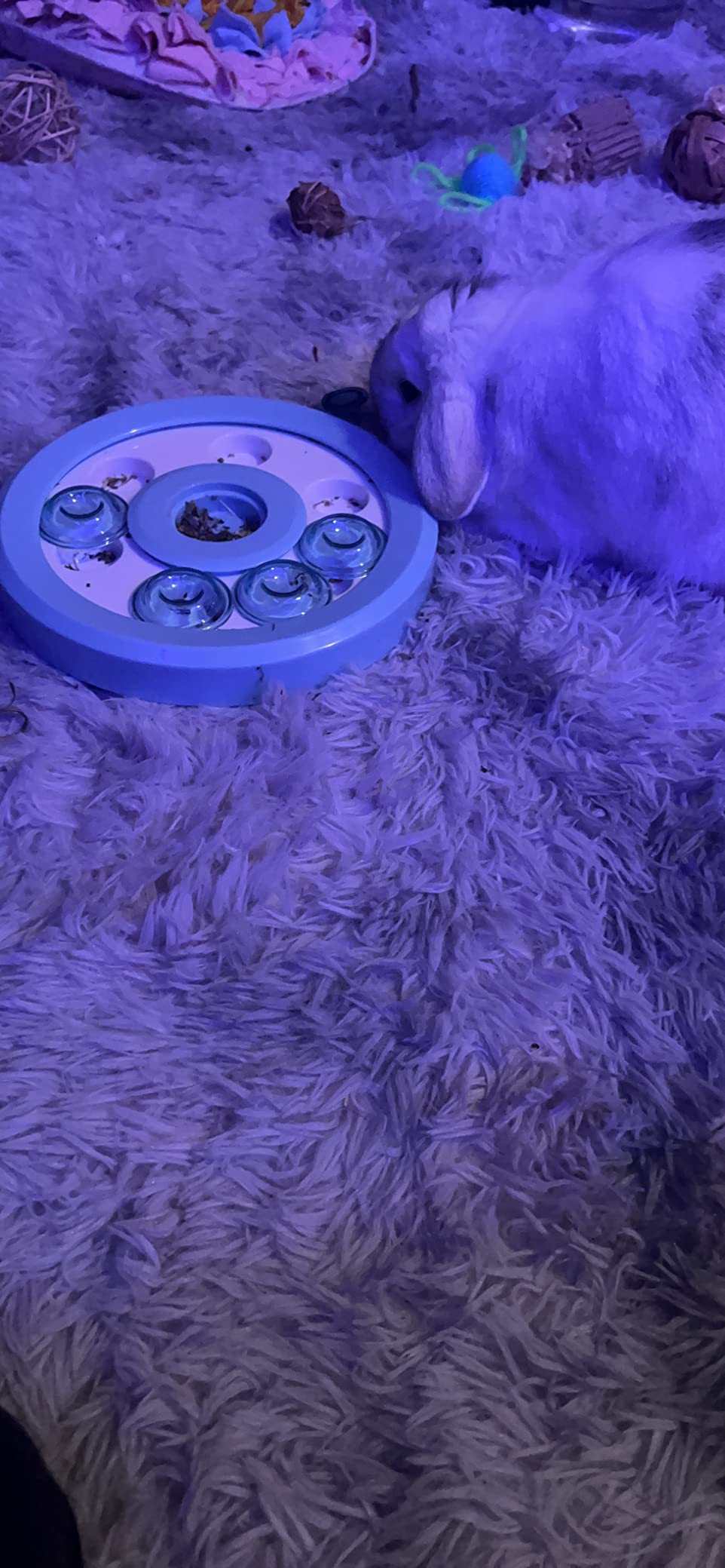 kathson Bunny Enrichment Toys Rabbit Foraging Toy Small Animal Treat Dispenser Hamster Puzzle Feeder Guinea Pig Interactive Toys Mental Stimulation for Ferret Chinchila Cat Dog customer photo 1