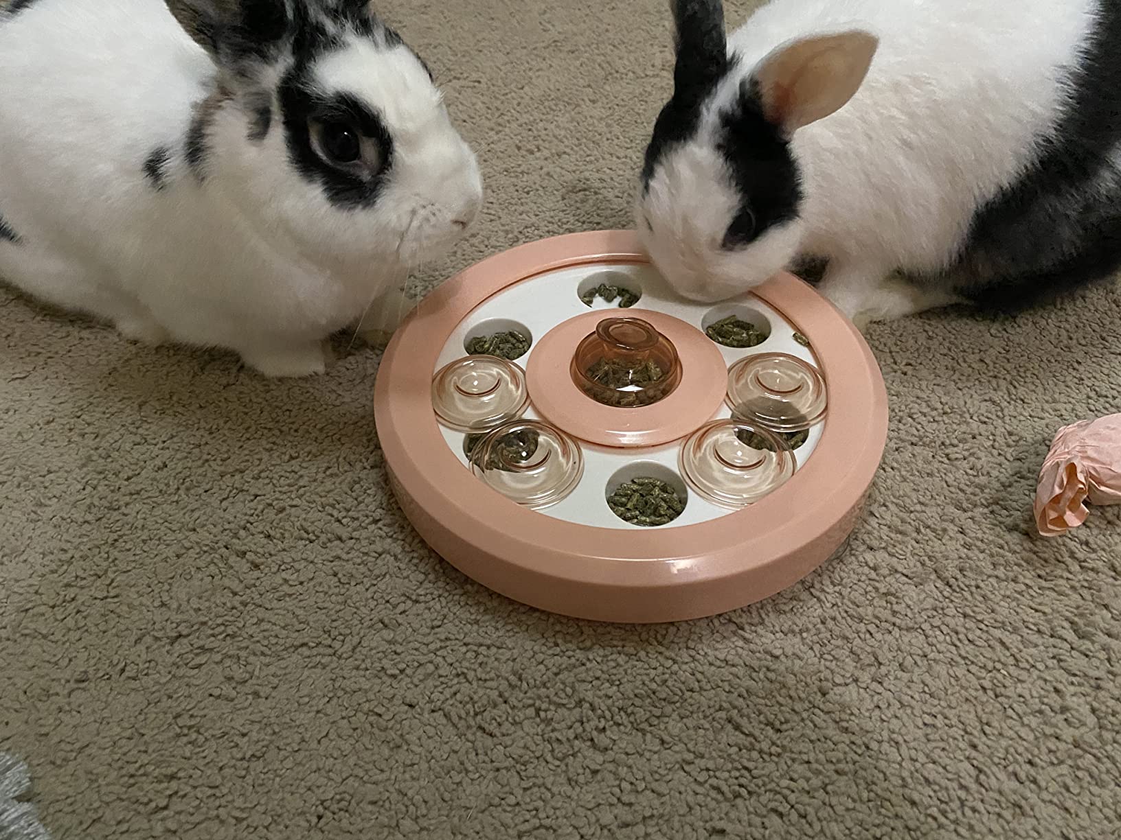 kathson Bunny Enrichment Toys Rabbit Foraging Toy Small Animal Treat Dispenser Hamster Puzzle Feeder Guinea Pig Interactive Toys Mental Stimulation for Ferret Chinchila Cat Dog customer photo 2
