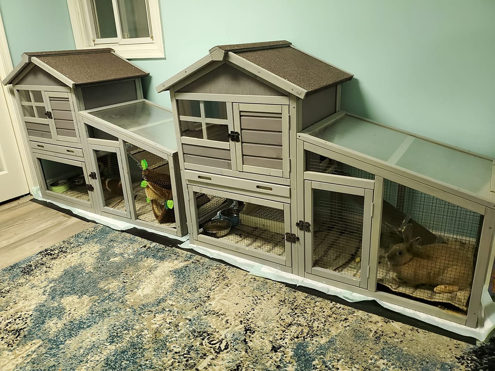 GUTINNEEN Rabbit Hutch for Outdoor Indoor Use, Bunny Cage with PVC Layer and Bottom Wire Netting, Wooden Chicken Coop Rabbit House with UV Roof, Leakproof Tray, Run customer photo 2