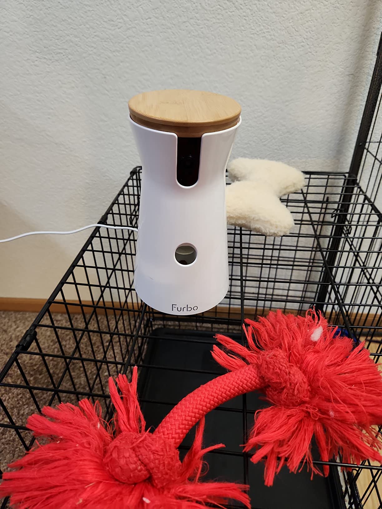 Furbo 360° Dog Camera [No Monthly Fee] | 360° Rotating Live View, Barking Alerts, Treat Toss, 2-Way Audio, Night Vision, Smart Home Puppy Monitoring, No AI Alerts customer photo 2