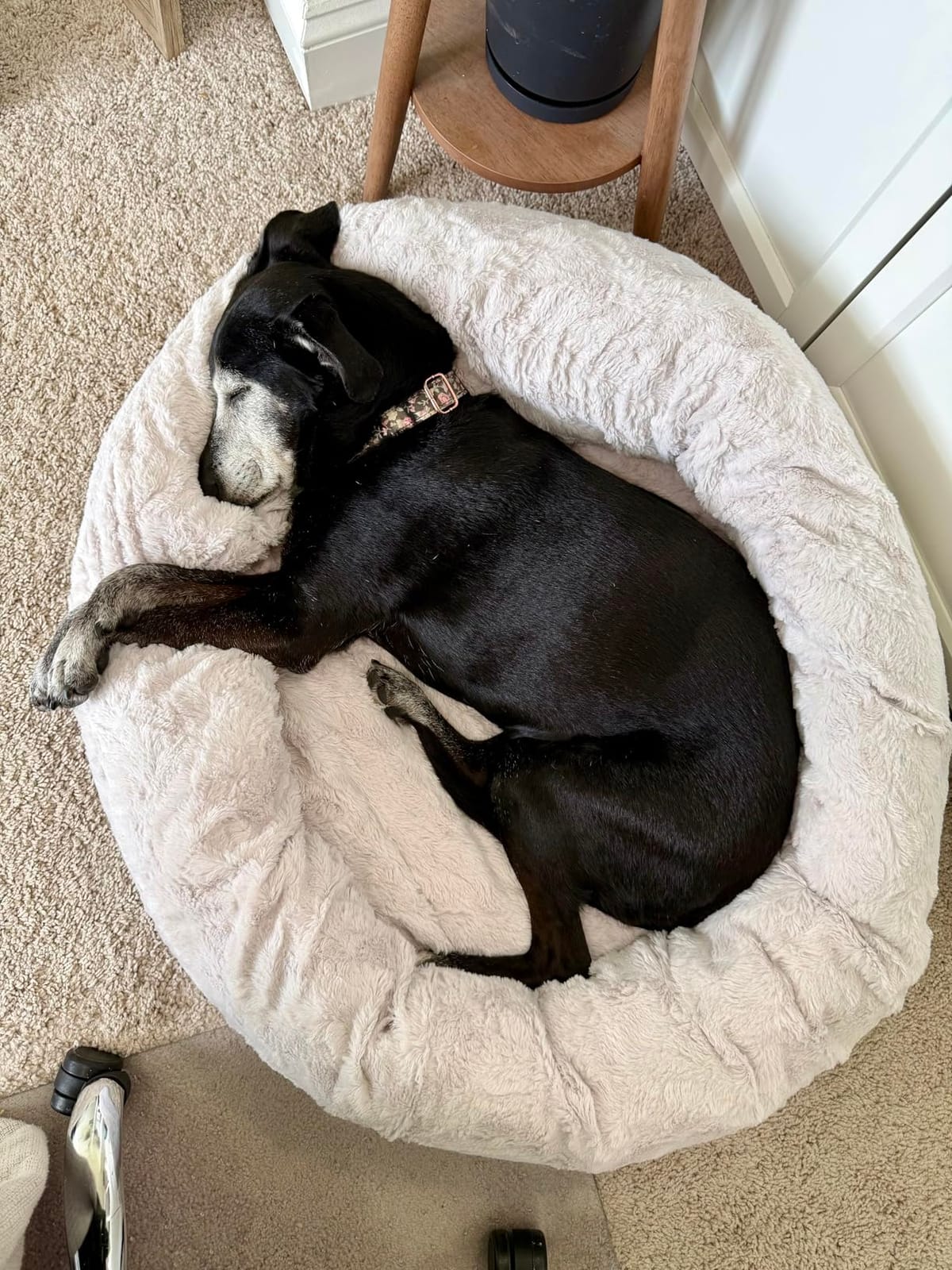 Best Friends by Sheri Original Calming Donut Dog Bed, Mink Gray, 30