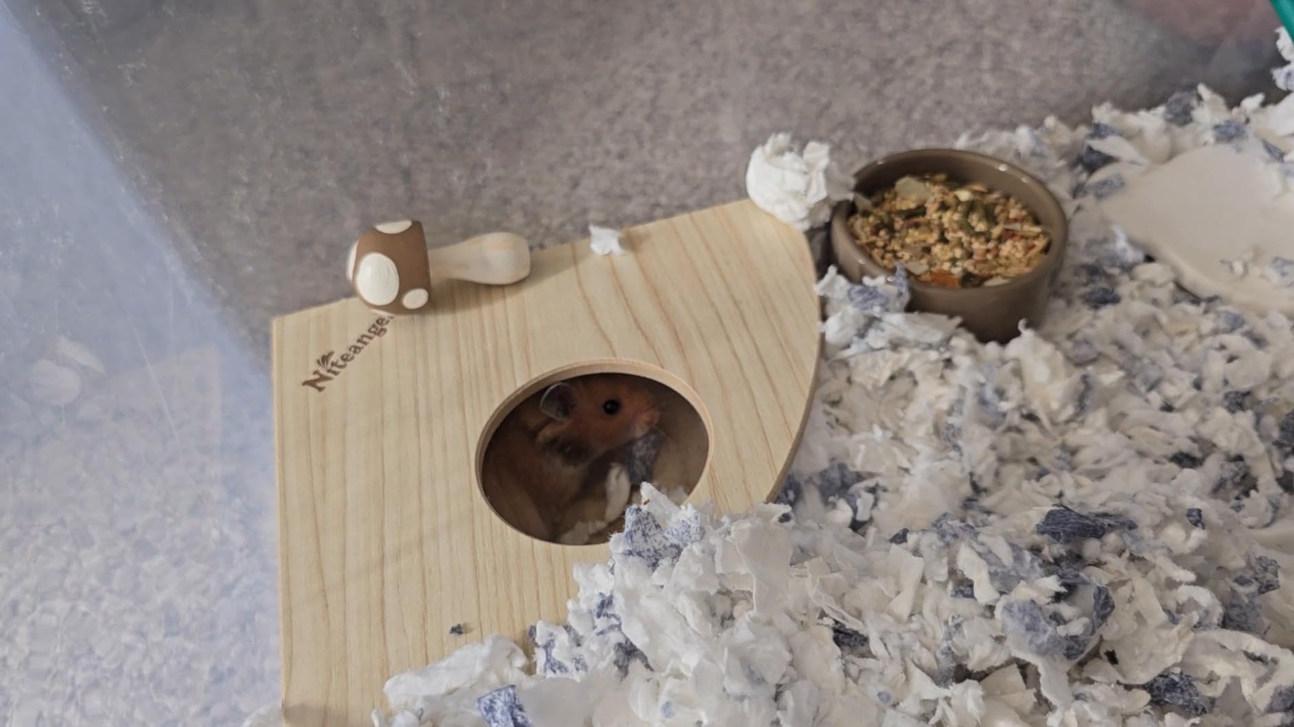 Niteangel Small Animal Sand-Bath Box - Acrylic Critter's Sand Bath Shower Room & Digging Sand Container for Hamsters Mice Lemming Gerbils or Other Small Pets (Fan-Shaped, Transparent) customer photo 2