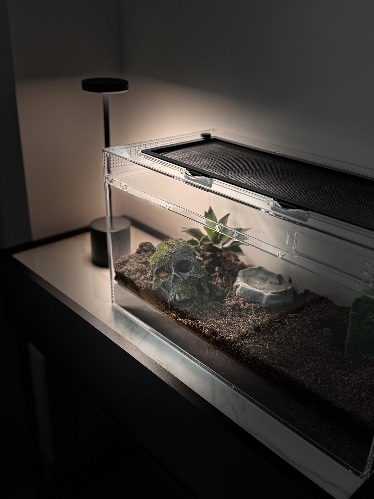 Reptile Growth Reptile Terrarium, 10 Gallon Reptile Tank 20