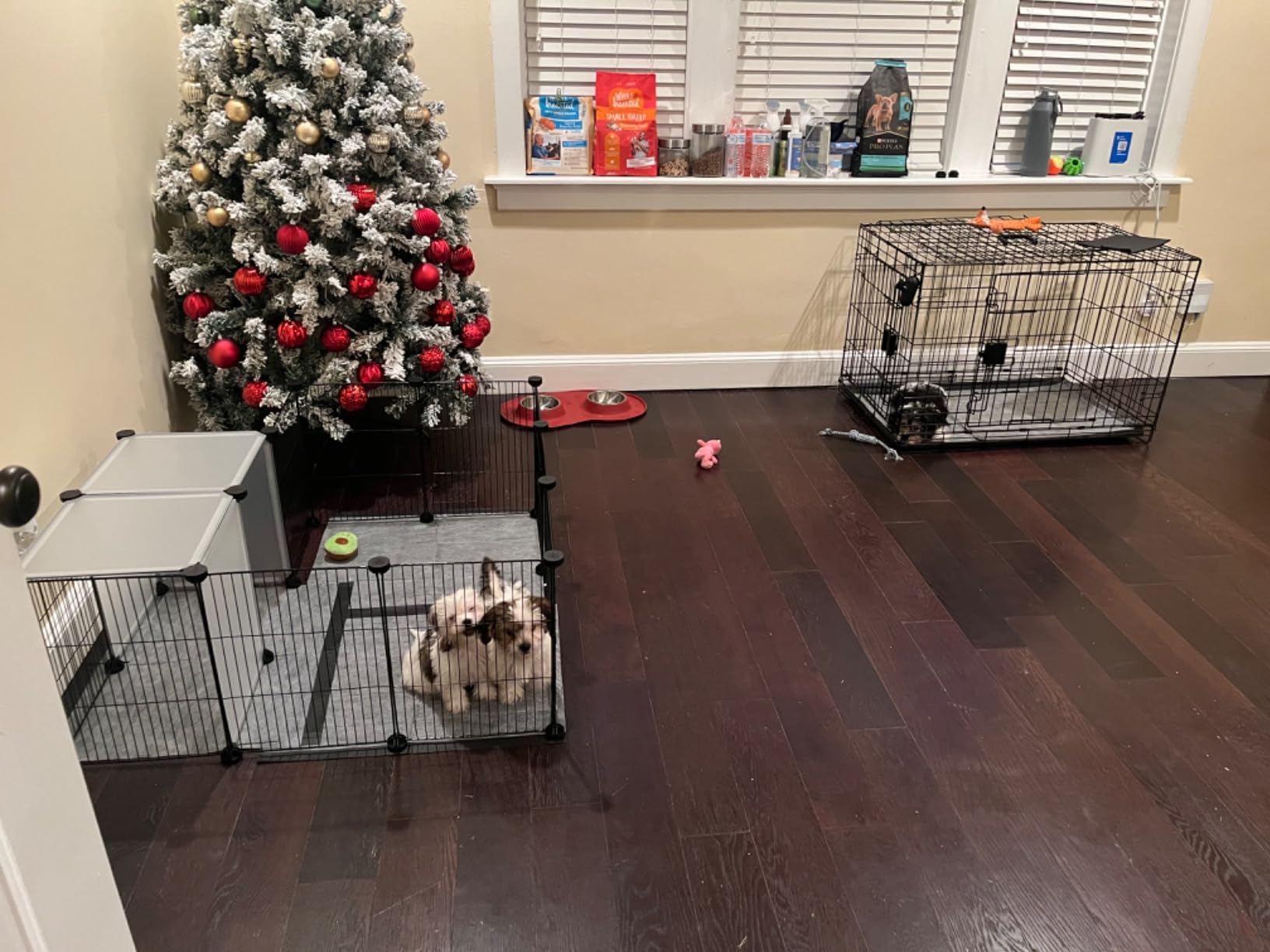 Pet Playpen, Small Animal Cage DIY Wire Fence with Door 15 Panels, Black | Portable Yard Fence for Indoor or Outdoor, for Small Animal, Puppies, Kitties, Bunny, Guinea Pigs, Turtle customer photo 2