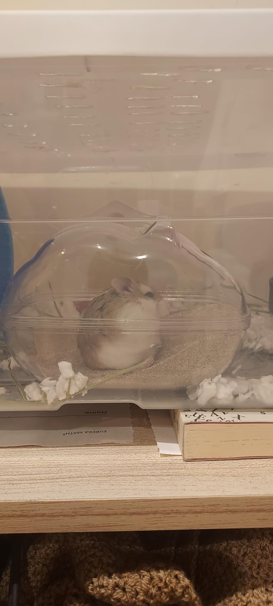 Supreme Petfoods Science Selective Bathing Sand for Hamsters, Gerbils, Chinchillas & Degus customer photo 2