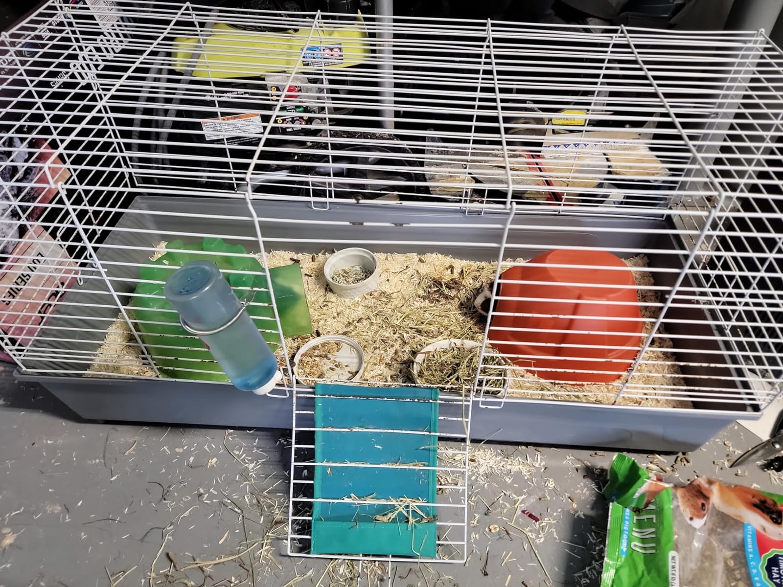 Niteangel Aspen Shaving Hamster Bedding, 65L | Respiratory-Friendly & Encourages Digging Instinct - DIY Tunnel System for Syrian Dwarf Hamster Gerbil Mice Rat or Small Pets customer photo 1
