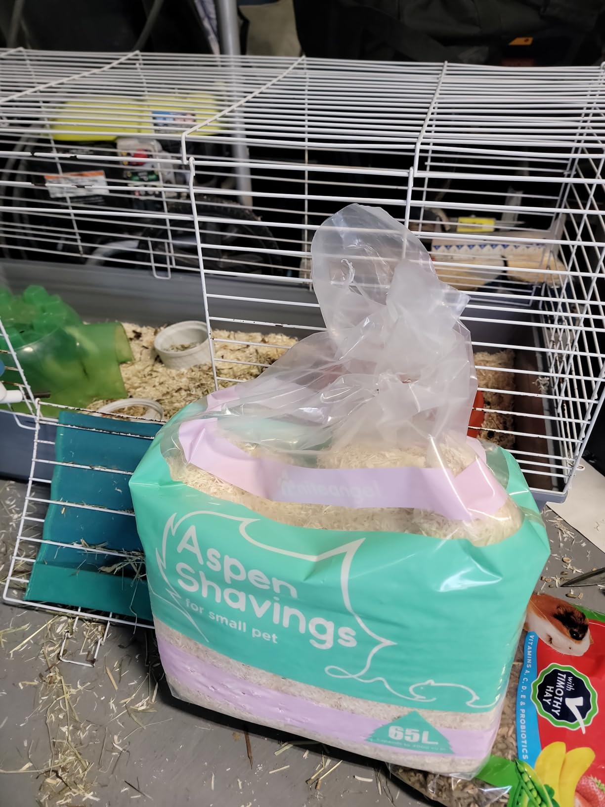 Niteangel Aspen Shaving Hamster Bedding, 65L | Respiratory-Friendly & Encourages Digging Instinct - DIY Tunnel System for Syrian Dwarf Hamster Gerbil Mice Rat or Small Pets customer photo 2