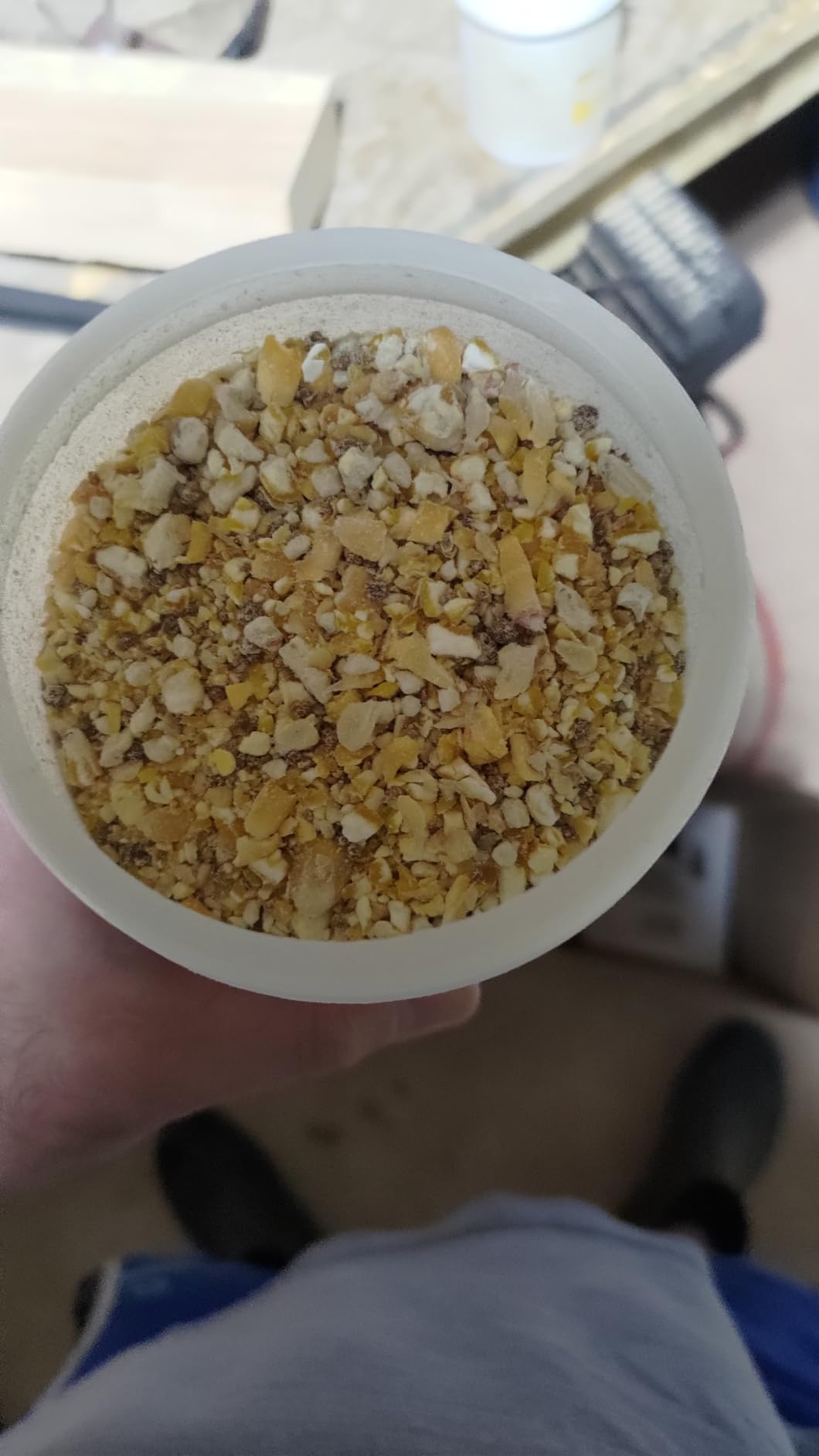 Vital Nutrients: Chicken Vitamins for Feed & Molting Supplement (1.5 pounds) customer photo 1