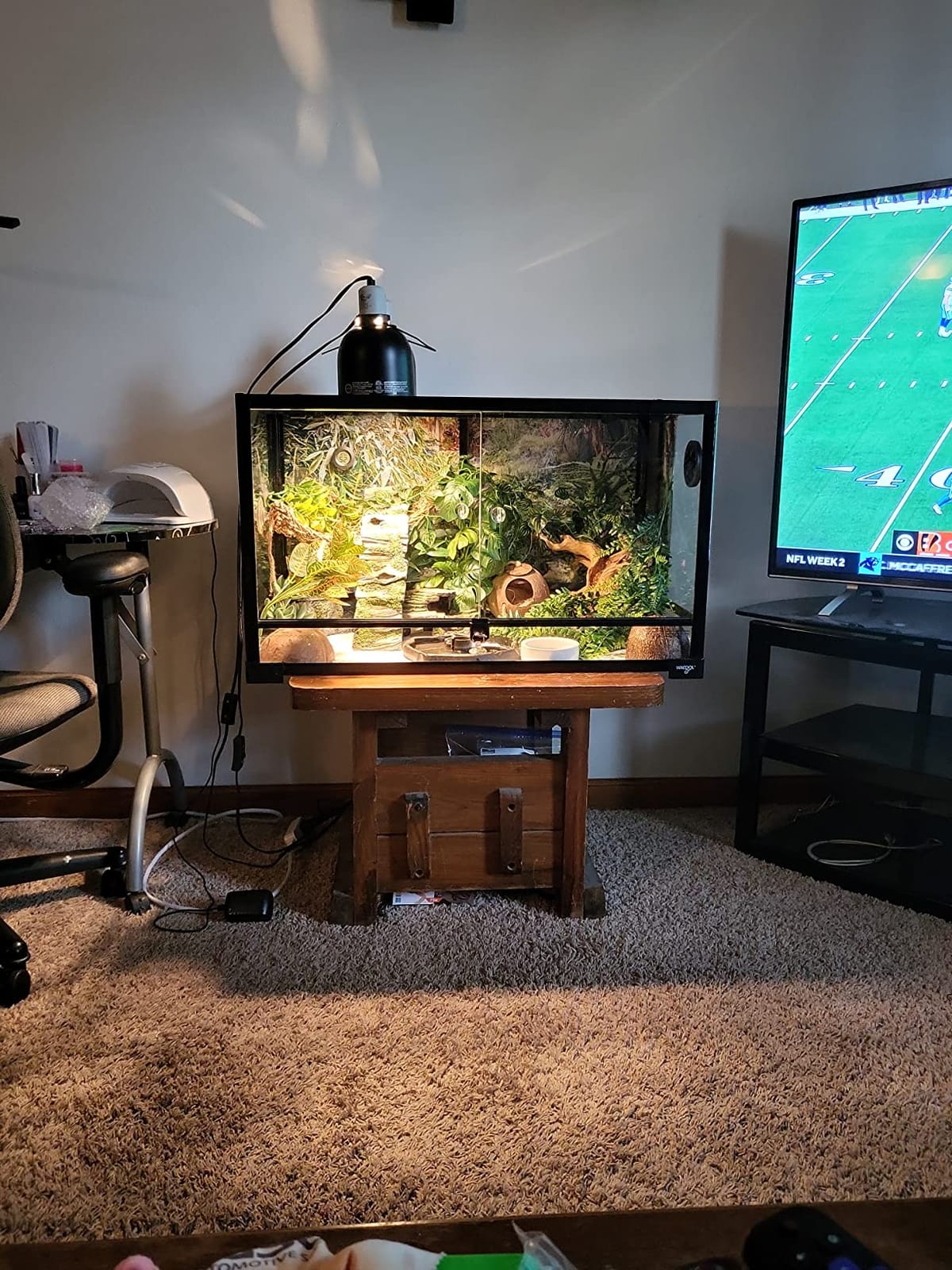 WACOOL Tempered Glass 40 Gallon Reptile Tank, Front Opening Reptile Terrarium 30