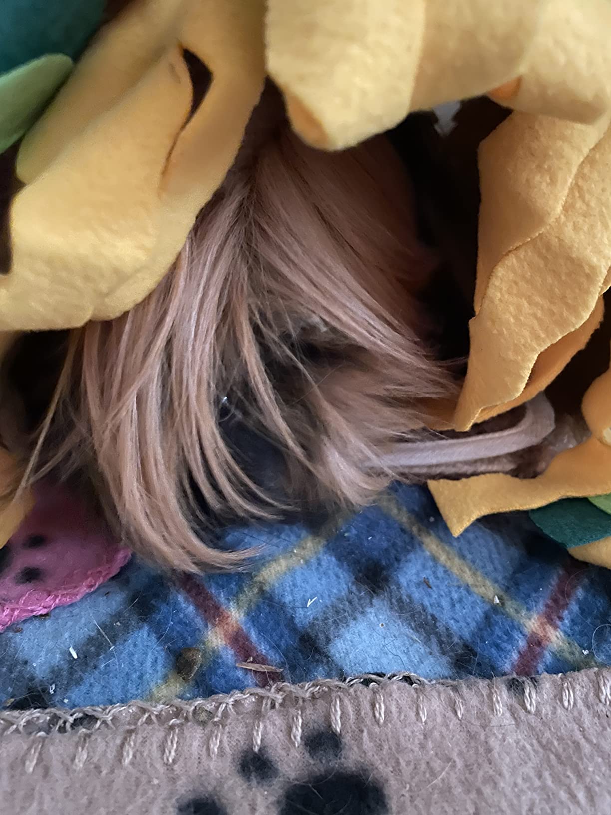 Guinea Pig Hideout, Fleece Tunnel House Small Pet Cage Accessories | Soft Play & Sleep Small Animal Hideout Tube, Cozy Bed Nest for Hamster Rat Chinchilla Hedgehog customer photo 2