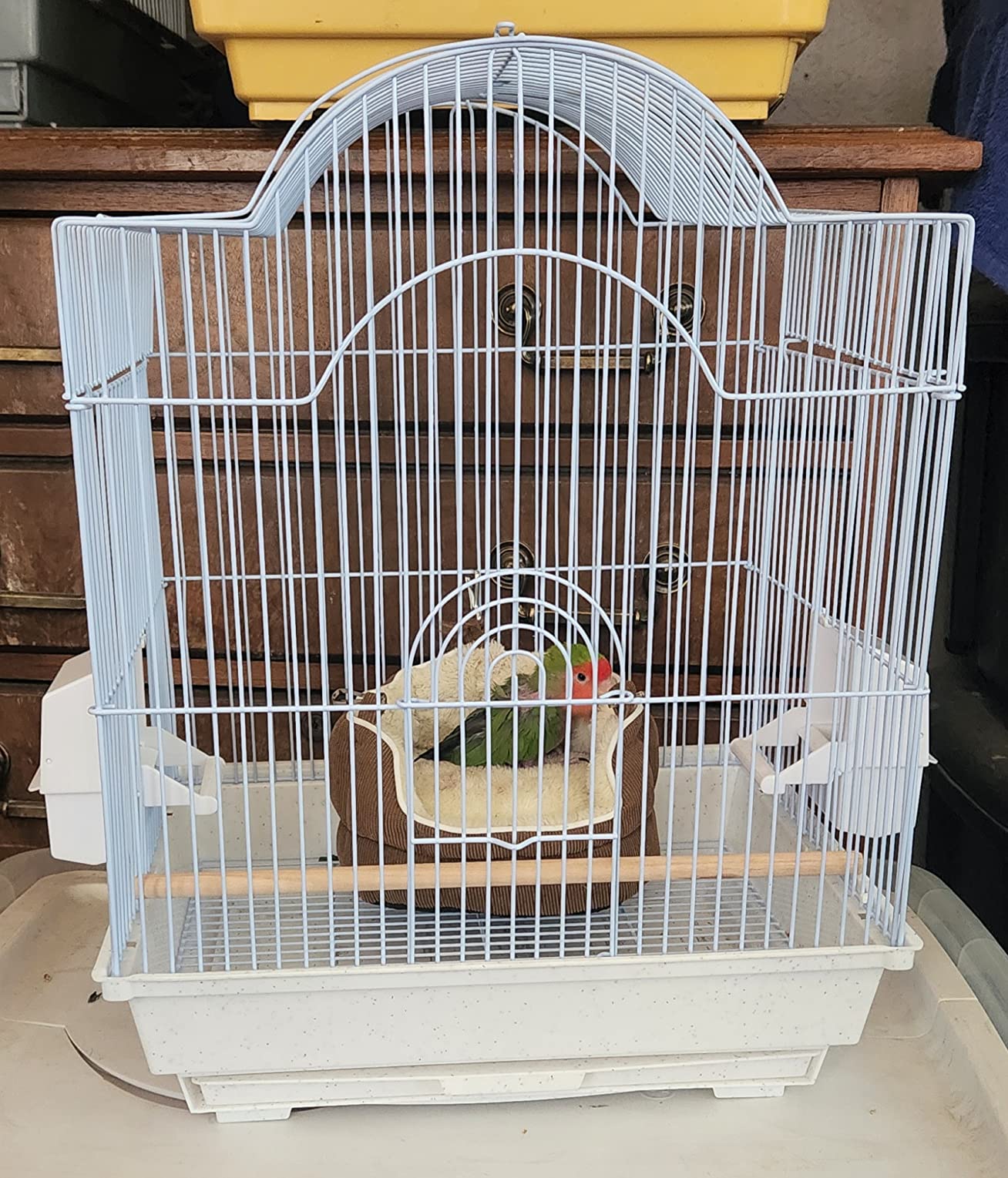 PENN-PLAX Small Bird Starter Kit with Birdcage and Accessories - Great for Parakeets, Lovebirds, Parrotlets, Finches, Canaries, and More - Arch Style Cage - White customer photo 1
