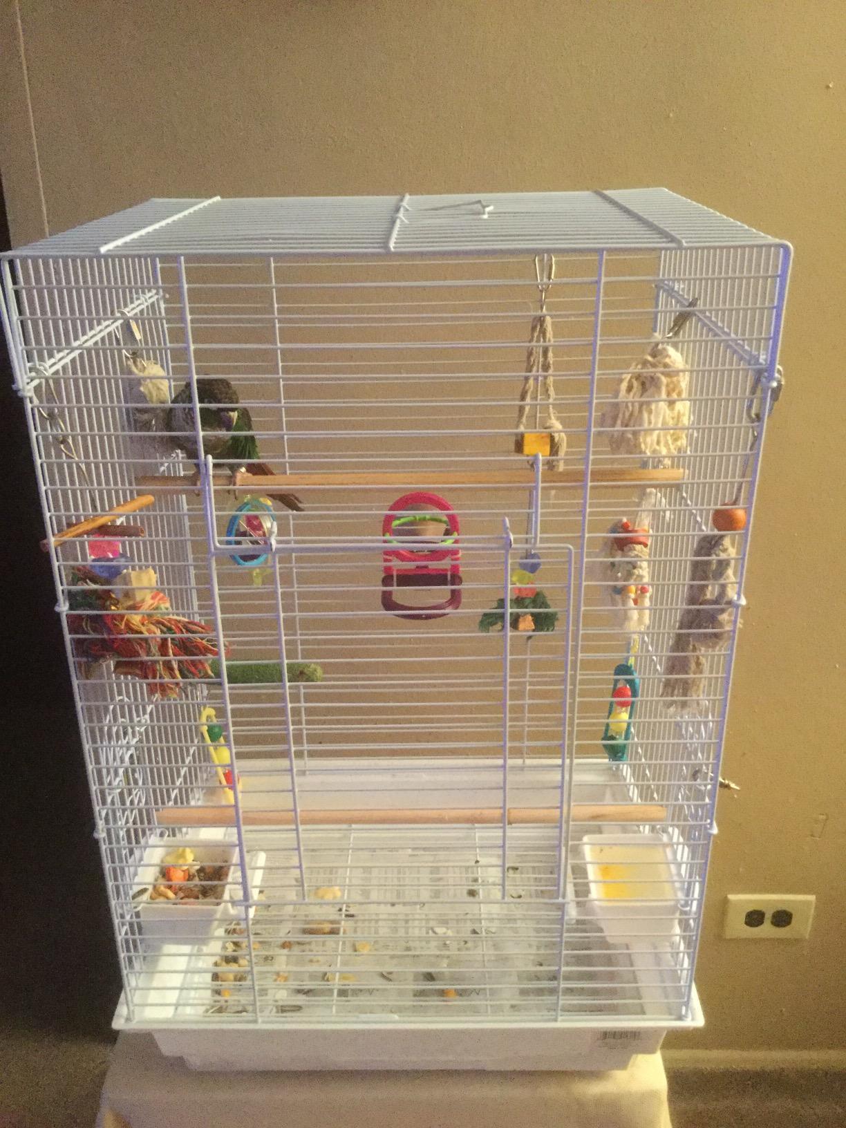PENN-PLAX Small Bird Starter Kit with Birdcage and Accessories - Great for Parakeets, Lovebirds, Parrotlets, Finches, Canaries, and More - Arch Style Cage - White customer photo 2