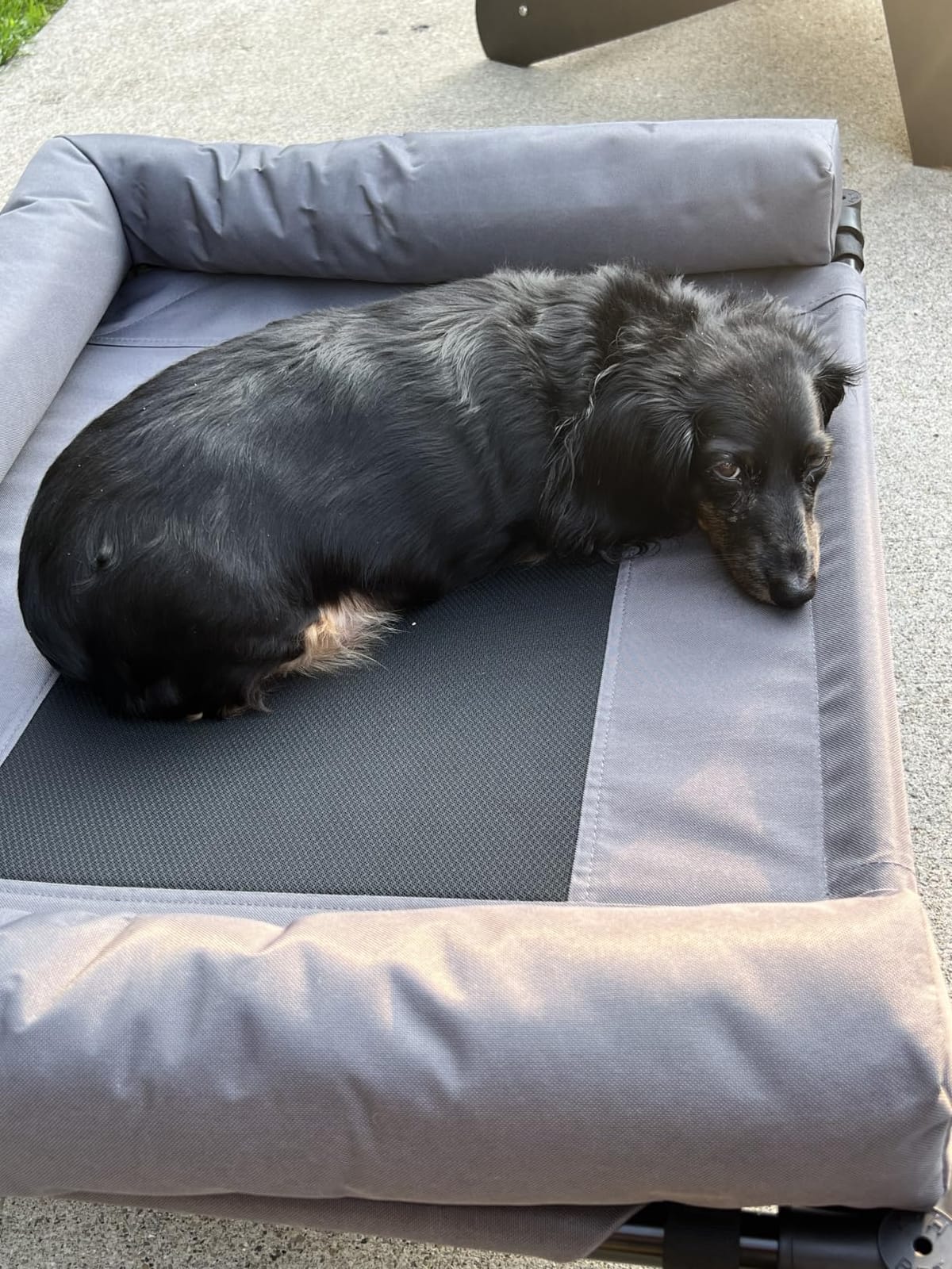 K&H Outdoor Elevated Dog Bed, Bolster Pet Cot, Medium 32x25in, Charcoal | Cool comfort anywhere, dog cot bed with removable bolster, dog bed washable, mesh center, no-tools setup customer photo 1