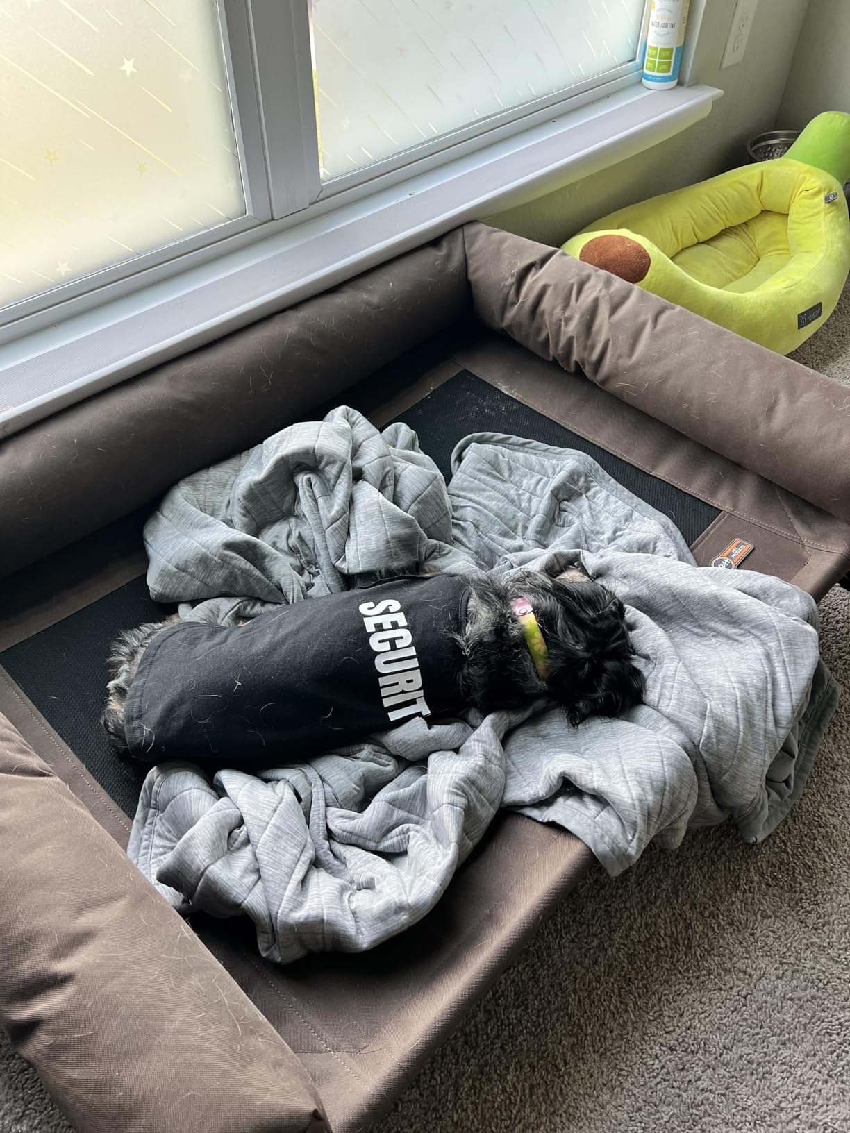 K&H Outdoor Elevated Dog Bed, Bolster Pet Cot, Medium 32x25in, Charcoal | Cool comfort anywhere, dog cot bed with removable bolster, dog bed washable, mesh center, no-tools setup customer photo 2
