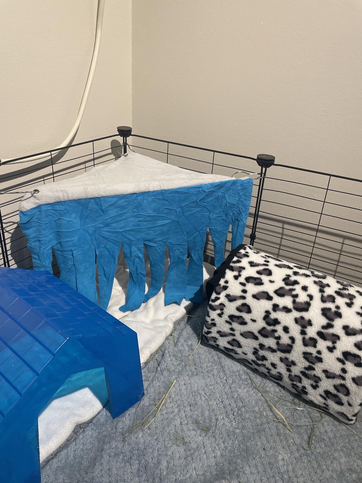 Shappy 2 Pcs Guinea Pig Hideout Hideaway Cage Hammock, Dots Pattern | Corner Hideout Hammock, Soft Fleece for Ferrets Chinchillas Hedgehogs, Cozy Hide with Fringe Curtain Design customer photo 2