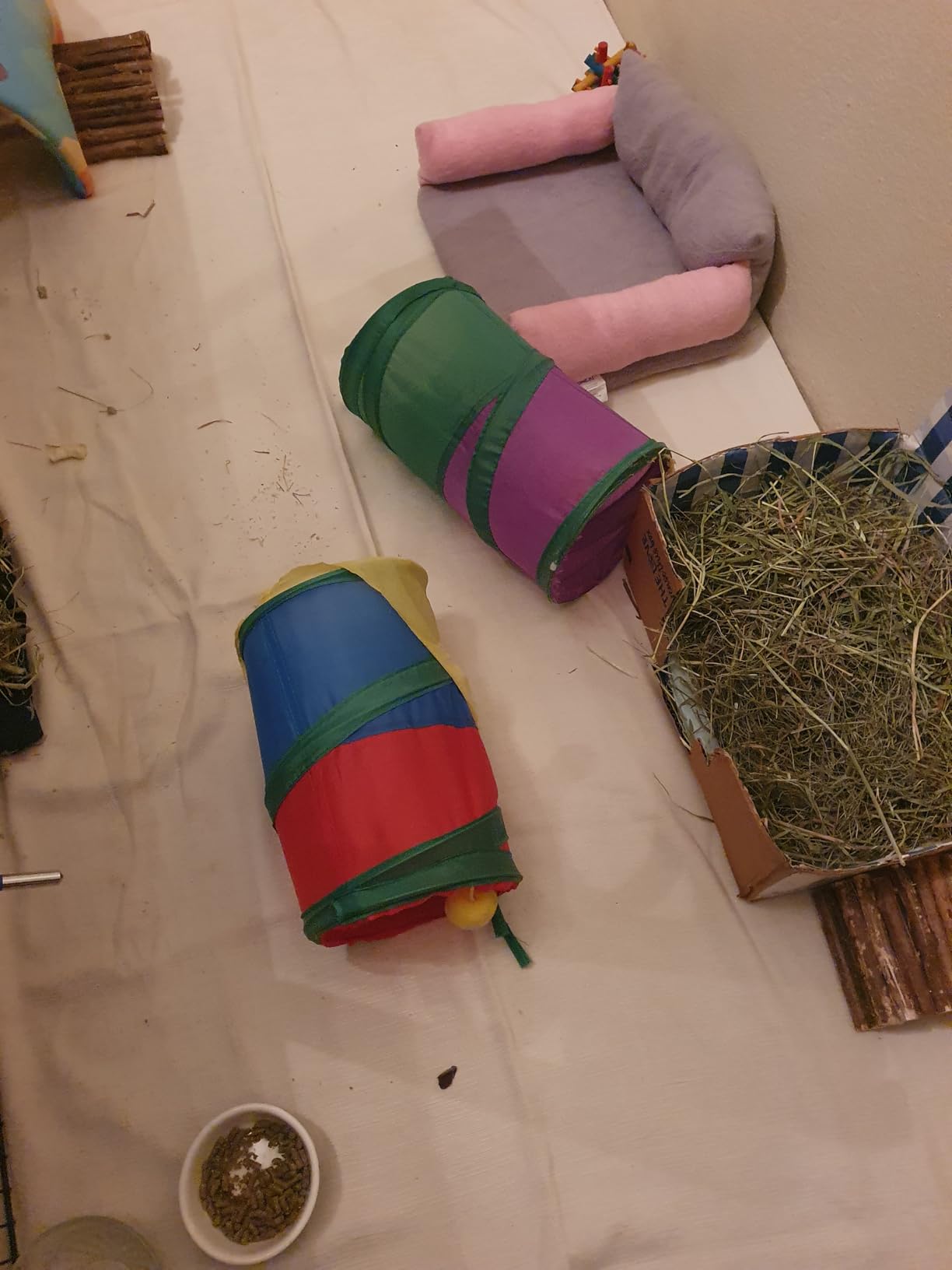 Rypet Guinea Pig Tunnel Hideout 3-Way Collapsible Small Pet Tubes, Rainbow customer photo 2