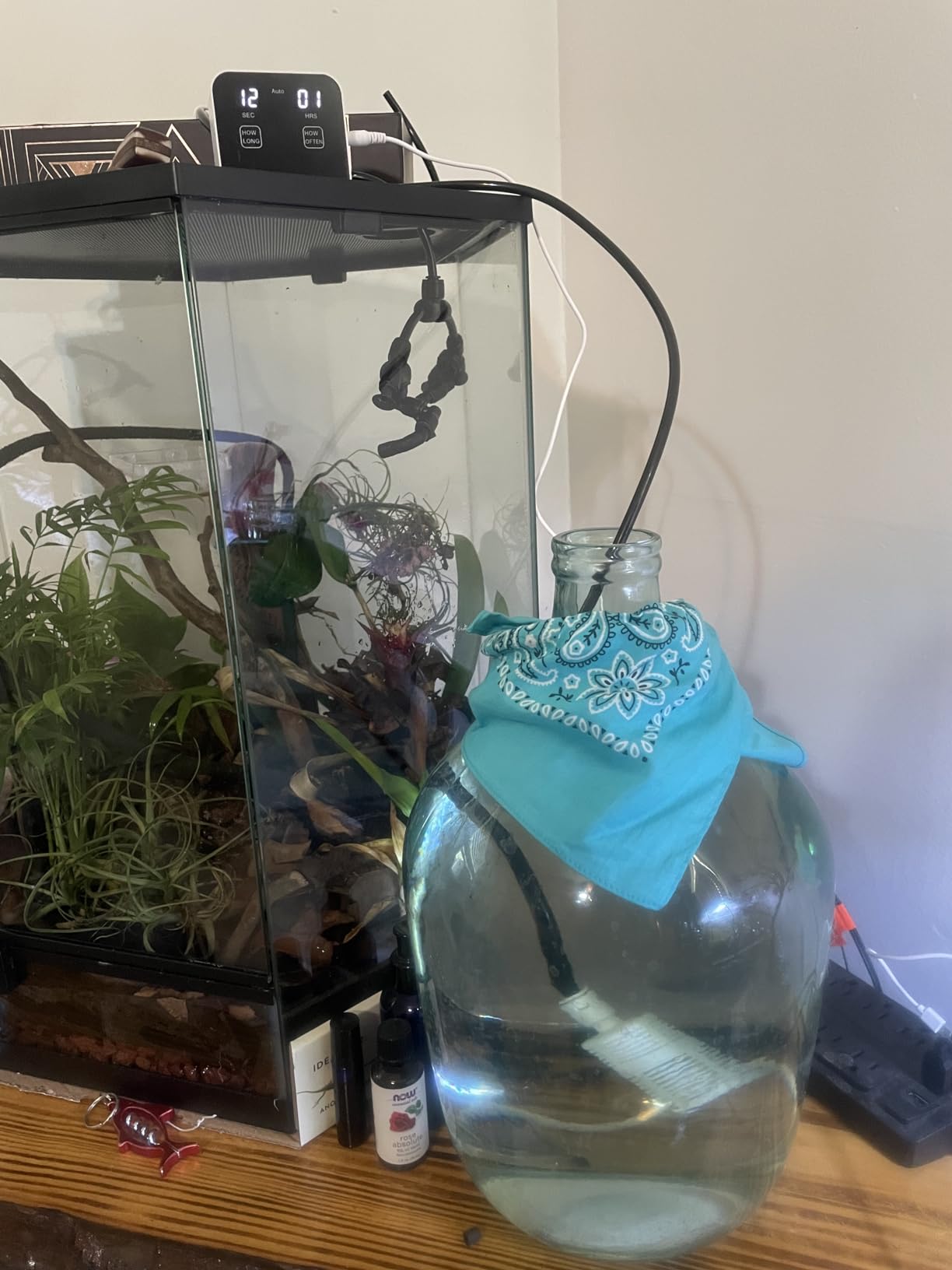 Reptile Mister Automatic Misting System, Reptile Humidifiers with Smart Timing Controller, Terrariums Humidifier with 360°Adjustable Misting Nozzles, Rainforest Ecosystem Sprayer customer photo 1