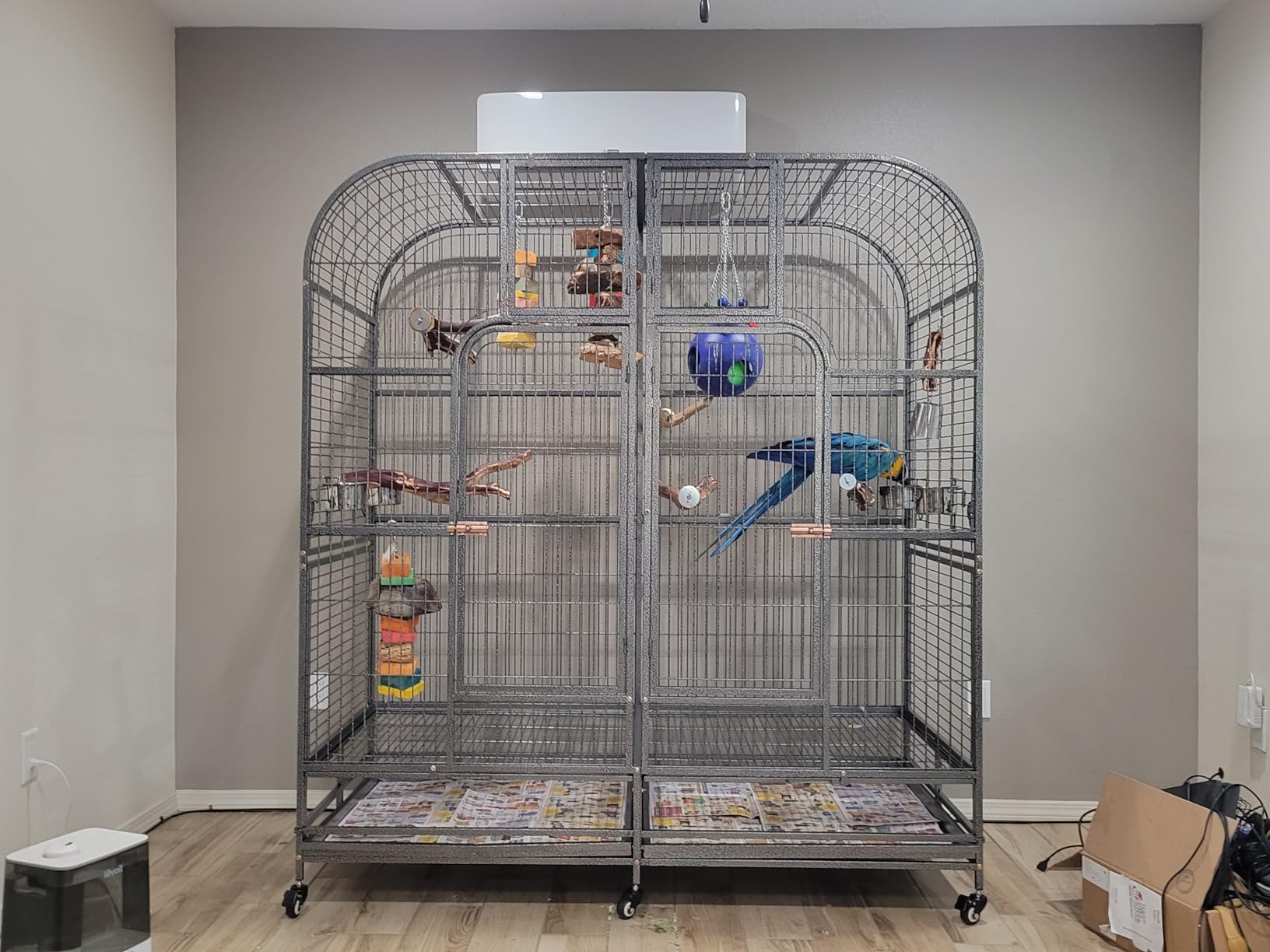 Double Cage with Center Divider for Bird Parrot Aviary W64xD32xH73 New customer photo 1