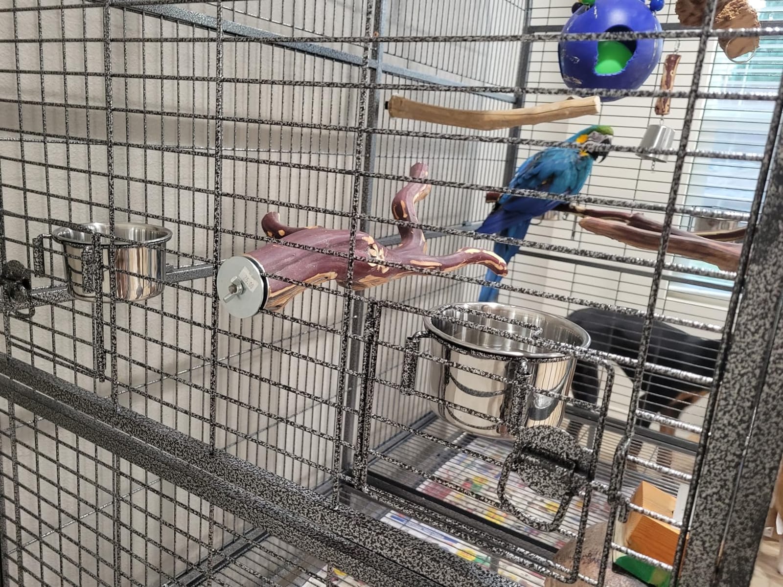 Double Cage with Center Divider for Bird Parrot Aviary W64xD32xH73 New customer photo 2
