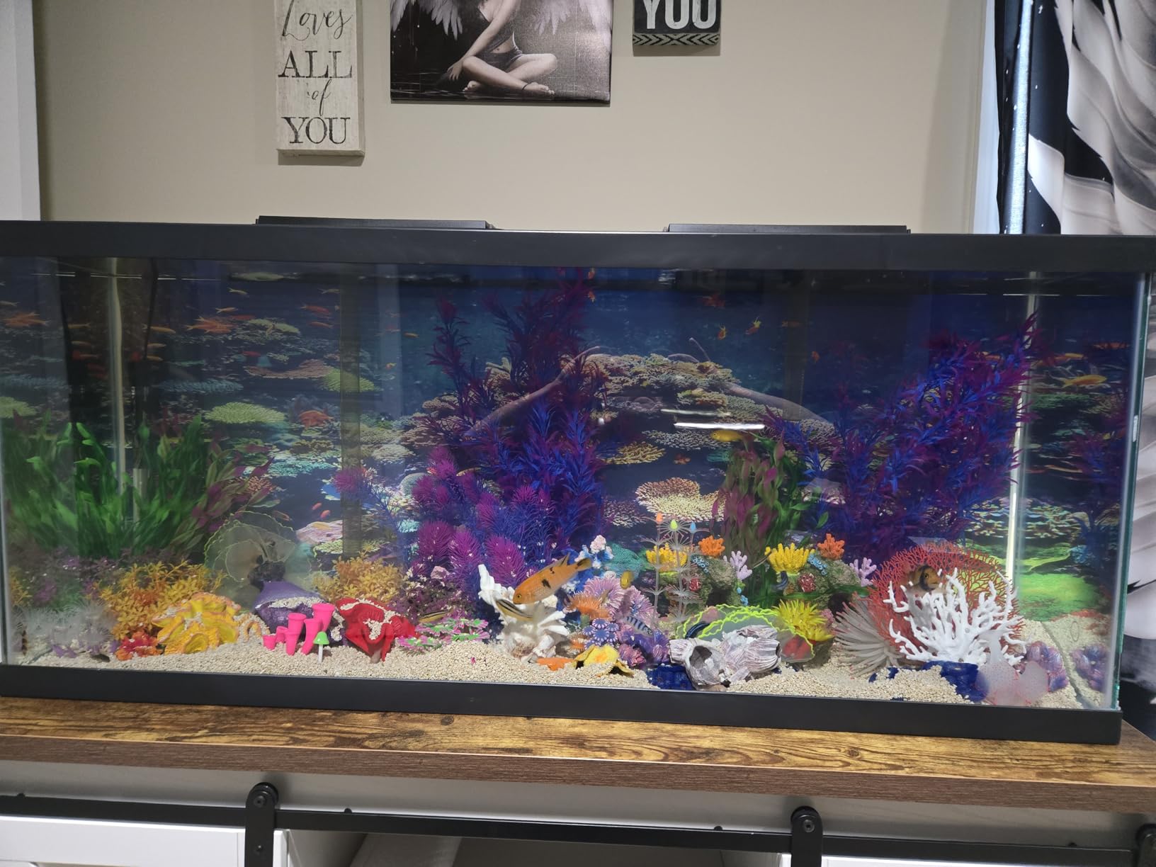 Tetra LED 10 Gallon Complete Fish Tank Kit customer photo 2