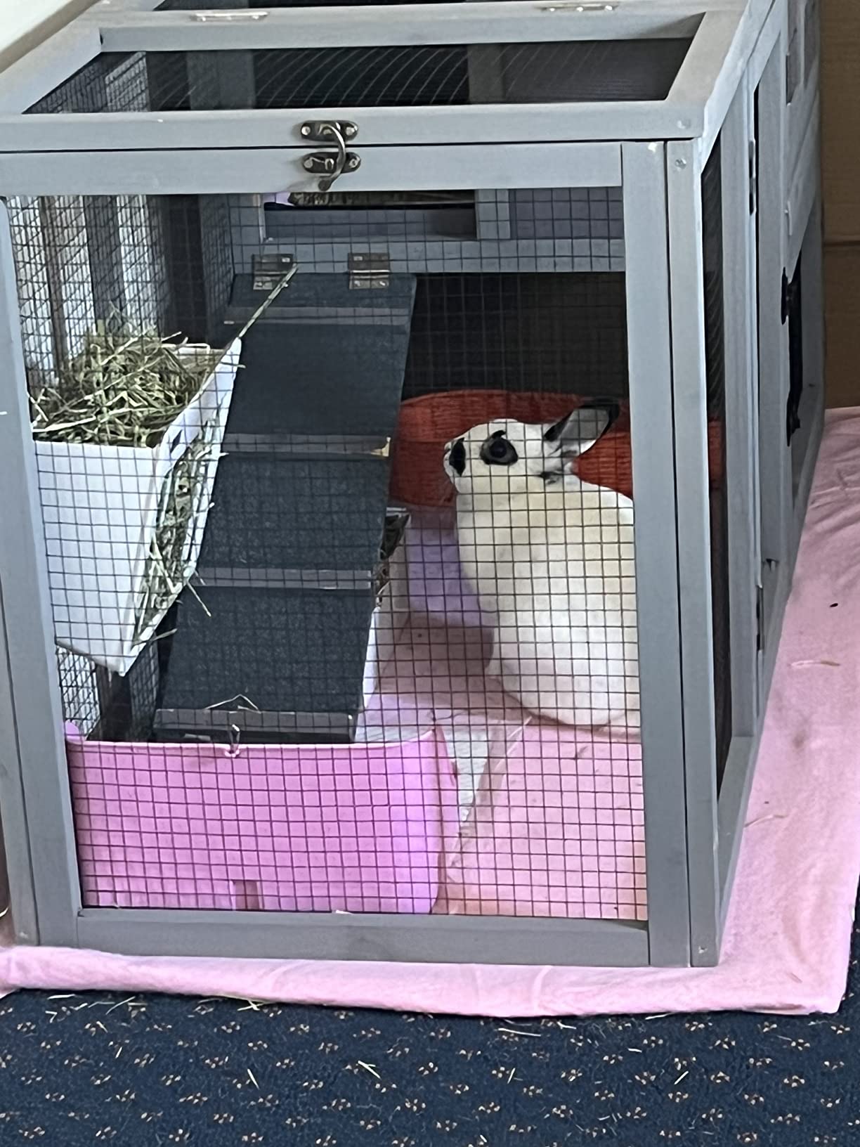 RUBYHOME Rabbit Hay Feeder Guinea Pig Food Feeder Adjustable Height Rabbit Feeder Guinea Pig Food Bowl Complete Bunny Bundle Bunny Accessories for Rabbits, Guinea Pigs, Chinchillas customer photo 1