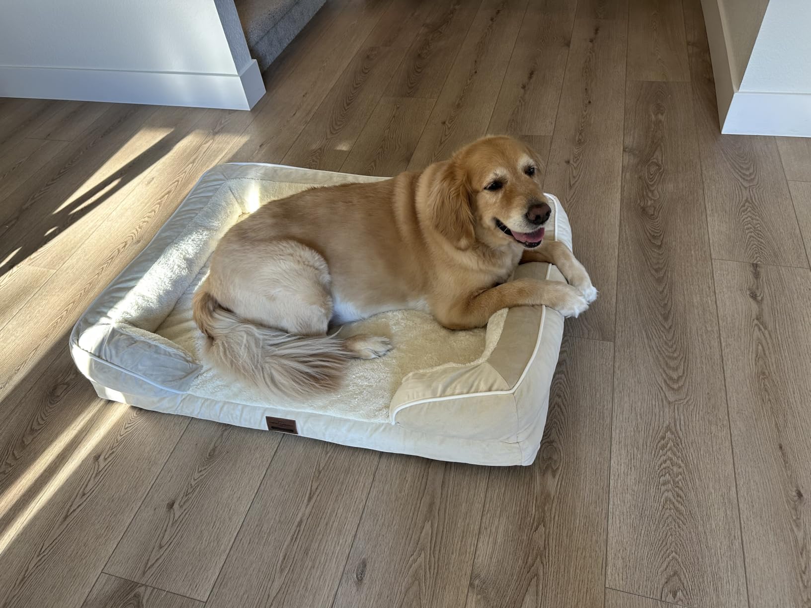 Comfort Expression Waterproof Orthopedic Dog Bed for Extra Large Dogs | Supportive Egg Crate Foam XL Pet Bed with Removable Bolster, Dog Couch with Washable Cover & Non-Slip Bottom, 42x30 Inch customer photo 1