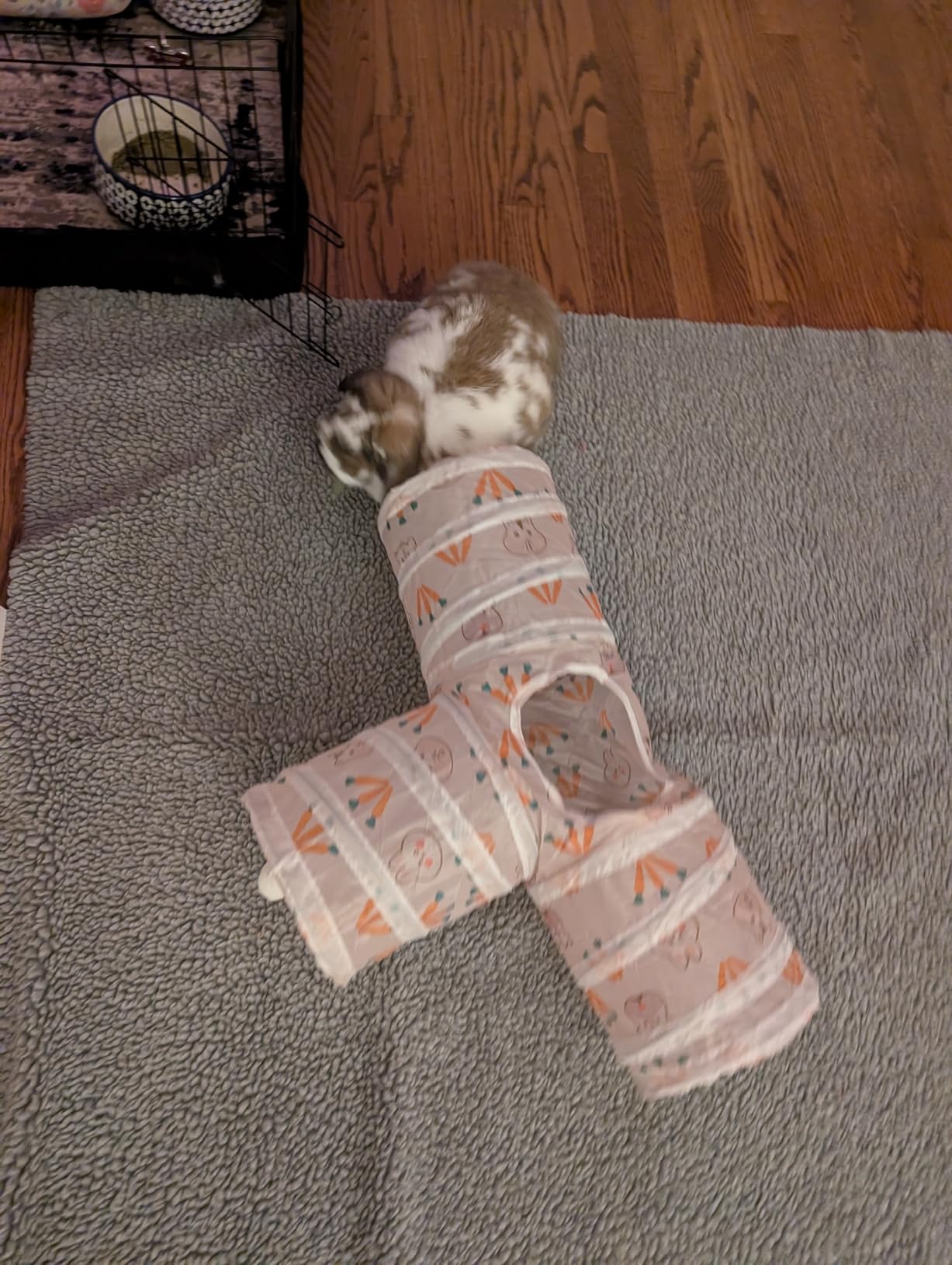 HERCOCCI Rabbit Toys, Bunny Tunnels & Tubes, Collapsible 3 Way Rabbit Hideout Tunnel with Chew Toys for Bunny Guinea Pig Ferret Kitten customer photo 1