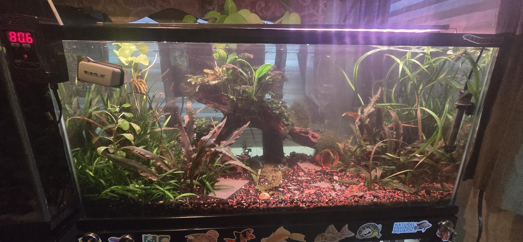 2HR Aquarist APT Jazz Aquarium Plant Root Tabs (18 Tabs) customer photo 1