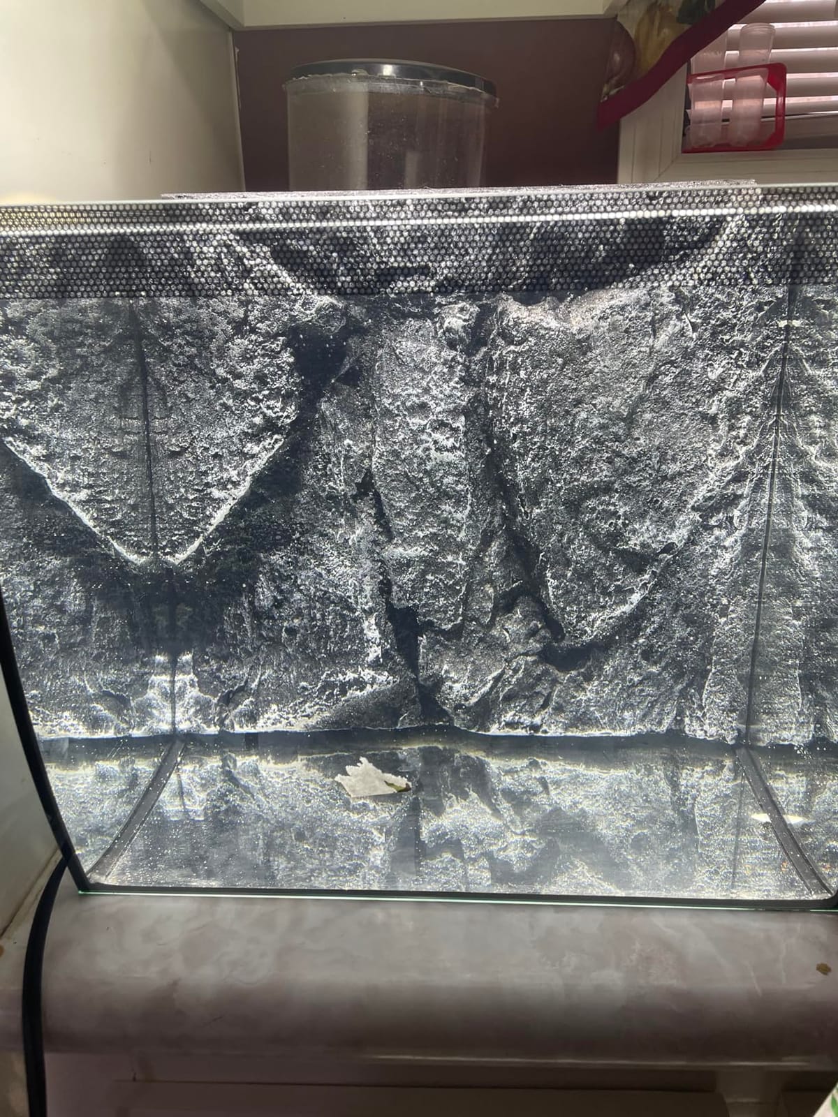 Tfwadmx Rock Terrarium Background 3D Reptile Tank Background Board Amphibian Stereo Backdrop Wall Snake Habitat Decor for Lizard Bearded Dragon Gecko Spider Chameleon Turtle Fish (Small Dragon Stone) customer photo 1