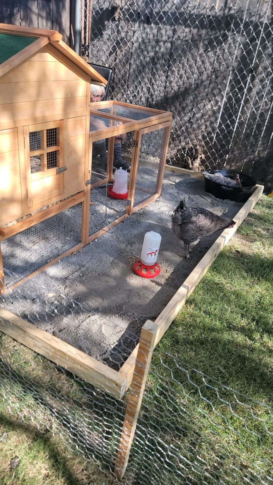 2-in-1 Chick Starter Set: 0.3 Gal Feeder & 0.4 Gal Waterer Red | Chick Feeder and Waterer with Adjustable legs, Anti-drowning, Anti-tip and Hanging Hooks Design for Baby Chicks customer photo 2