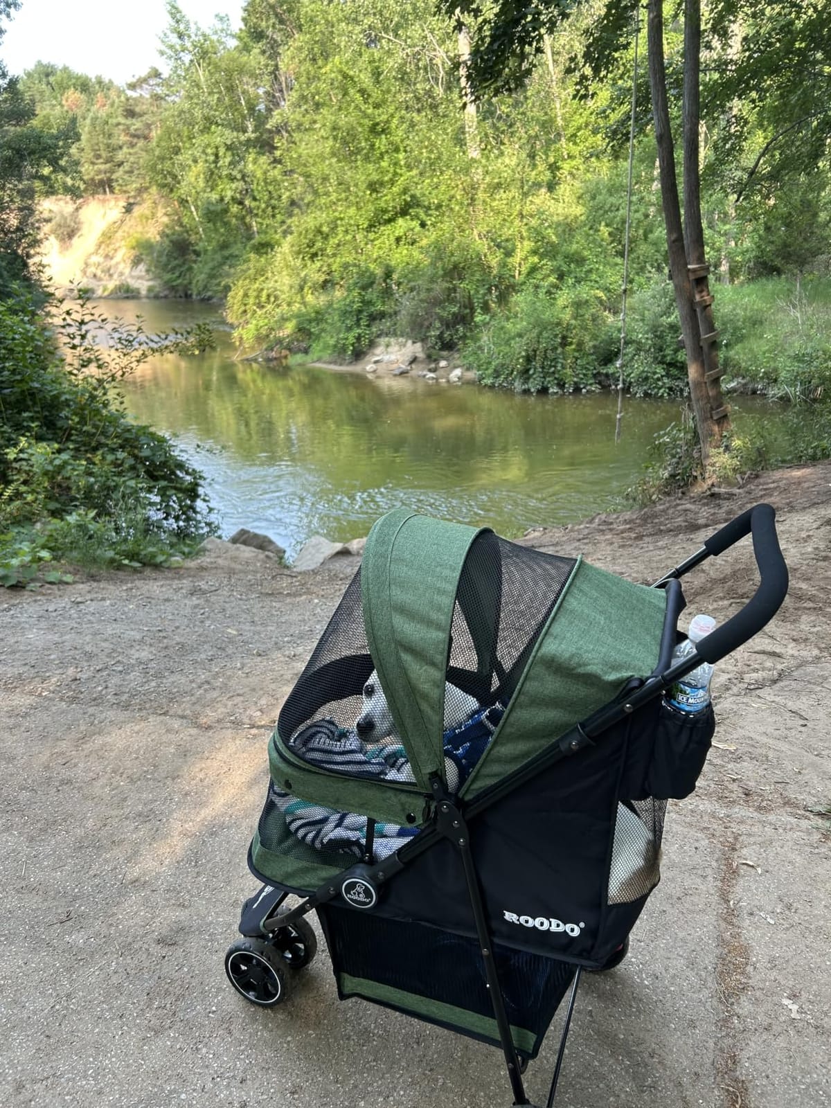 ROODO 3 Wheel Pet Stroller Best Lightweight Foldable Compact Portable Jogger All Terrain Travel Pet Gear Puppy Kitty Stroller for up to 30lbs Medium Small Dogs and Cats(Green) customer photo 1