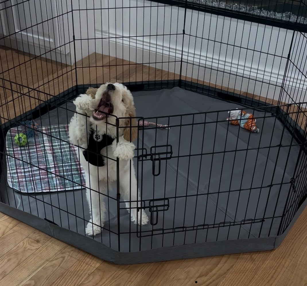 PETIME Foldable Metal Dog Exercise Pen/Pet Puppy Playpen Kennels Yard Fence Indoor/Outdoor 8 Panel 24