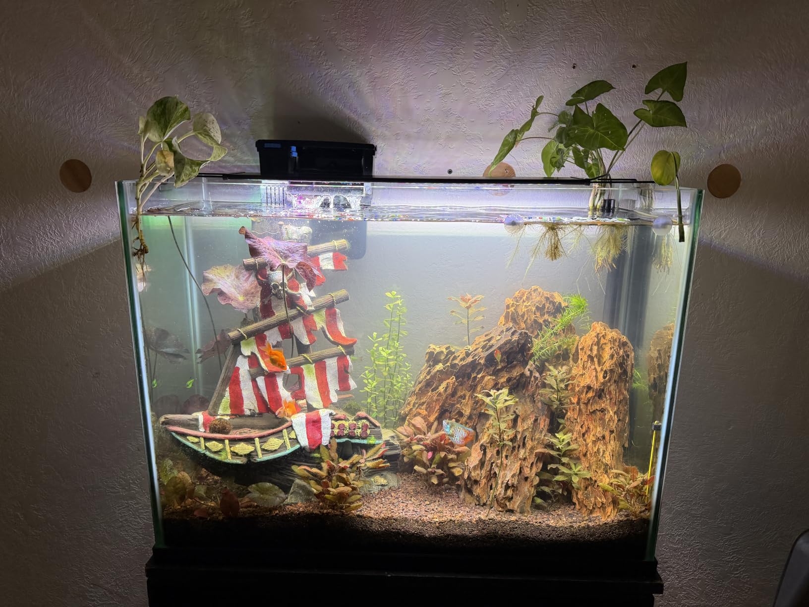 SEAOURA 24/7 Led Aquarium Light for Plants Growth-Full Spectrum, 12-18 Inch customer photo 1