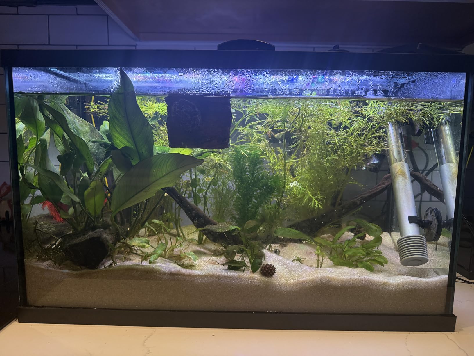 SEAOURA 24/7 Led Aquarium Light for Plants Growth-Full Spectrum, 12-18 Inch customer photo 2