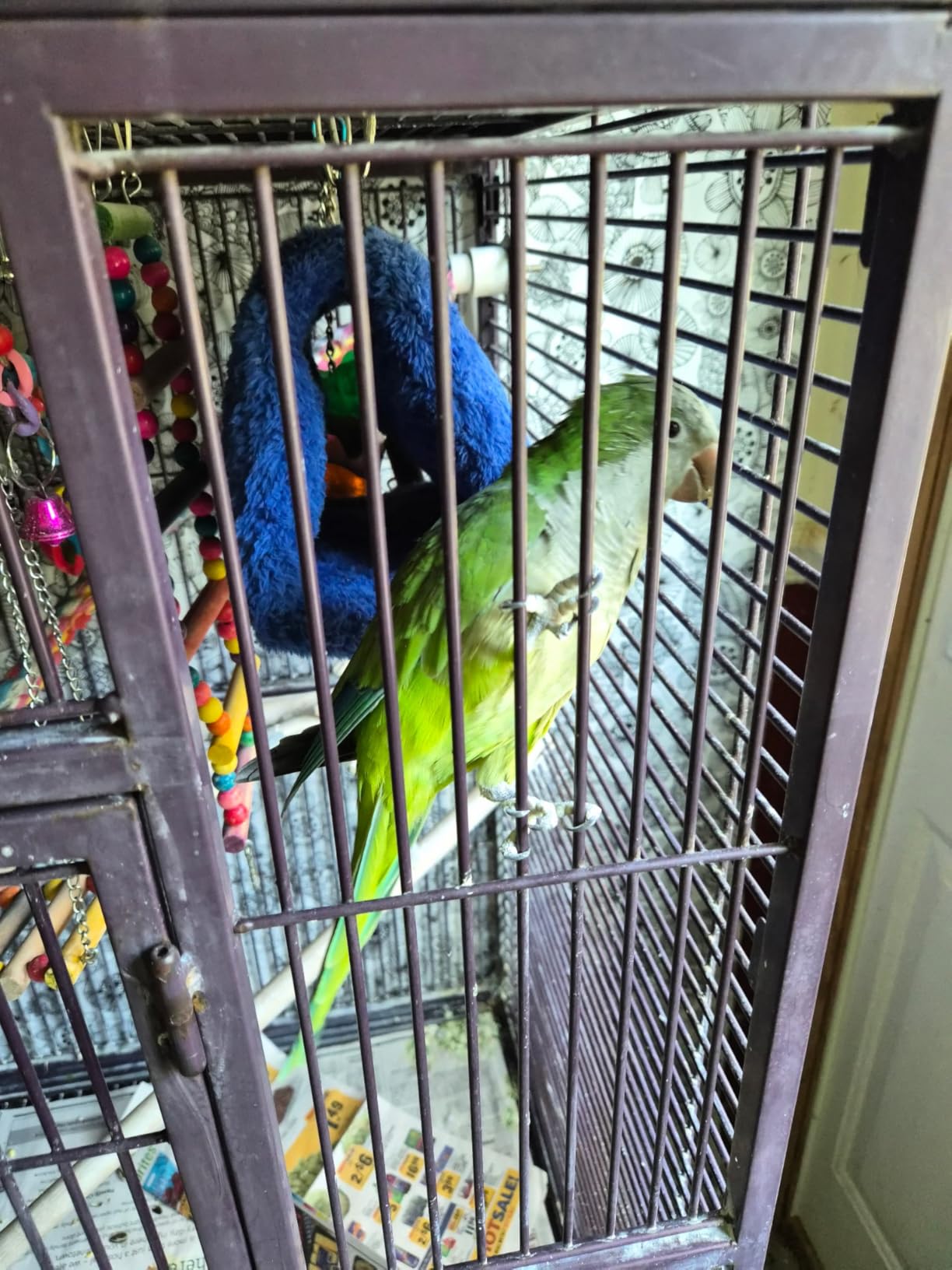 82 Inch Bird Cage, BOINN Bird Flight Cages with Rolling Stand & Bottom Tray, Wrought Iron Parrot Cage with PlayTop for Parakeet, Lovebirds, Ringneck, Cockatiels customer photo 2