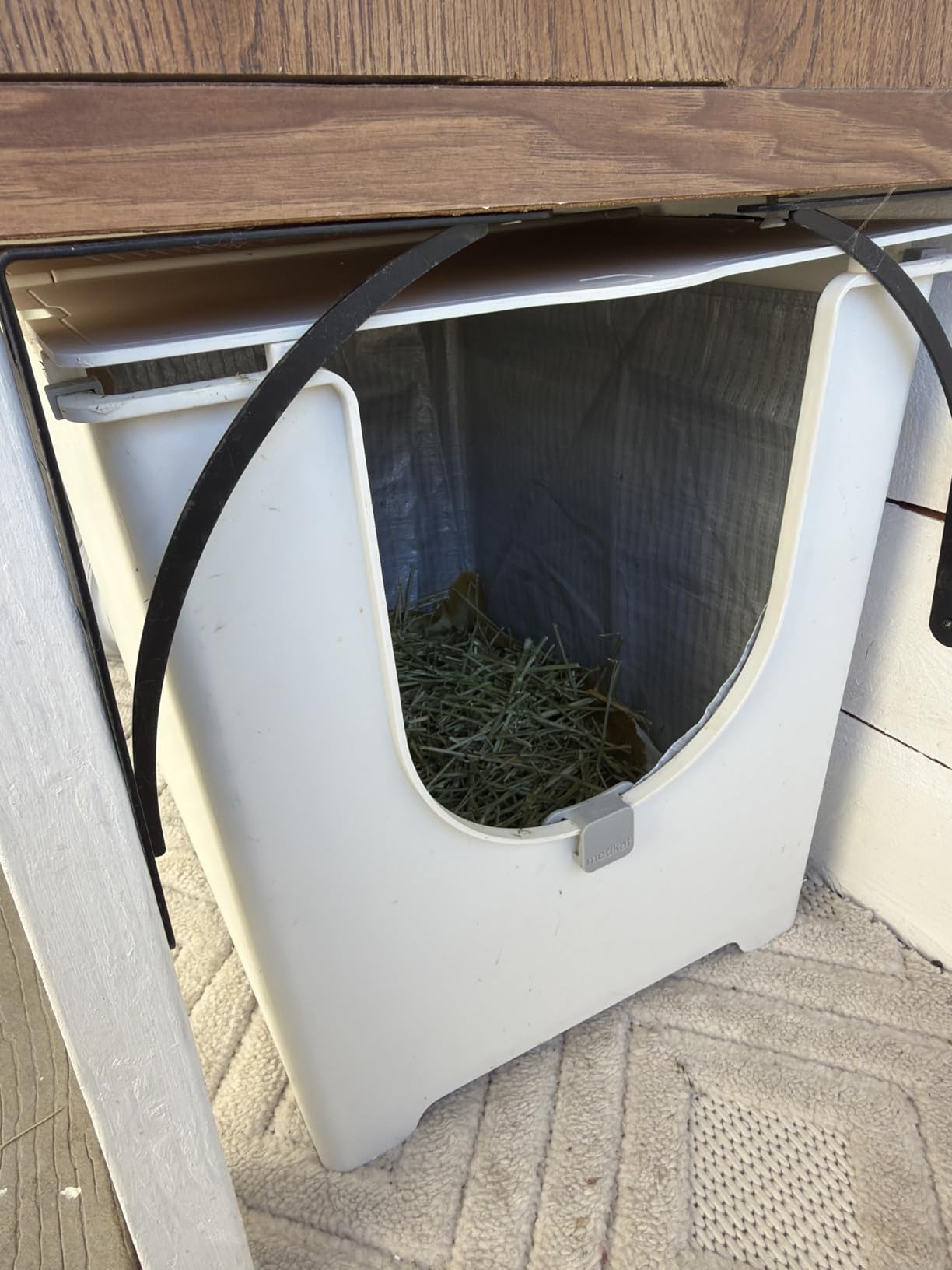 Oxbow Alfalfa Hay, Rabbit & Guinea Pig Hay, Hand-Sorted, De-Dusted, 40 oz customer photo 1