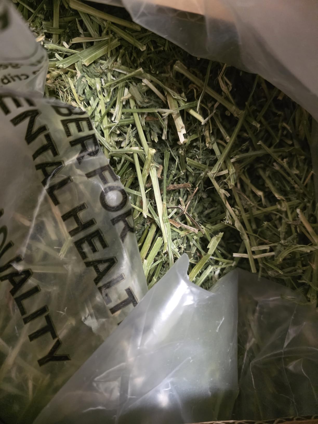 Oxbow Alfalfa Hay, Rabbit & Guinea Pig Hay, Hand-Sorted, De-Dusted, 40 oz customer photo 2