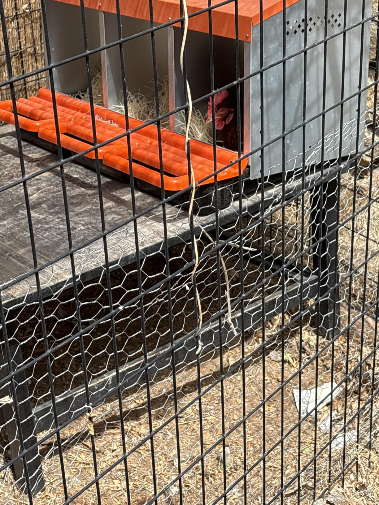 ZenxyHoC Chicken Nesting Boxes, Metal Chicken Egg Laying Box with Swing Perch and Rollout Egg Collection for Chicken Coop Red 3 Compartments customer photo 1